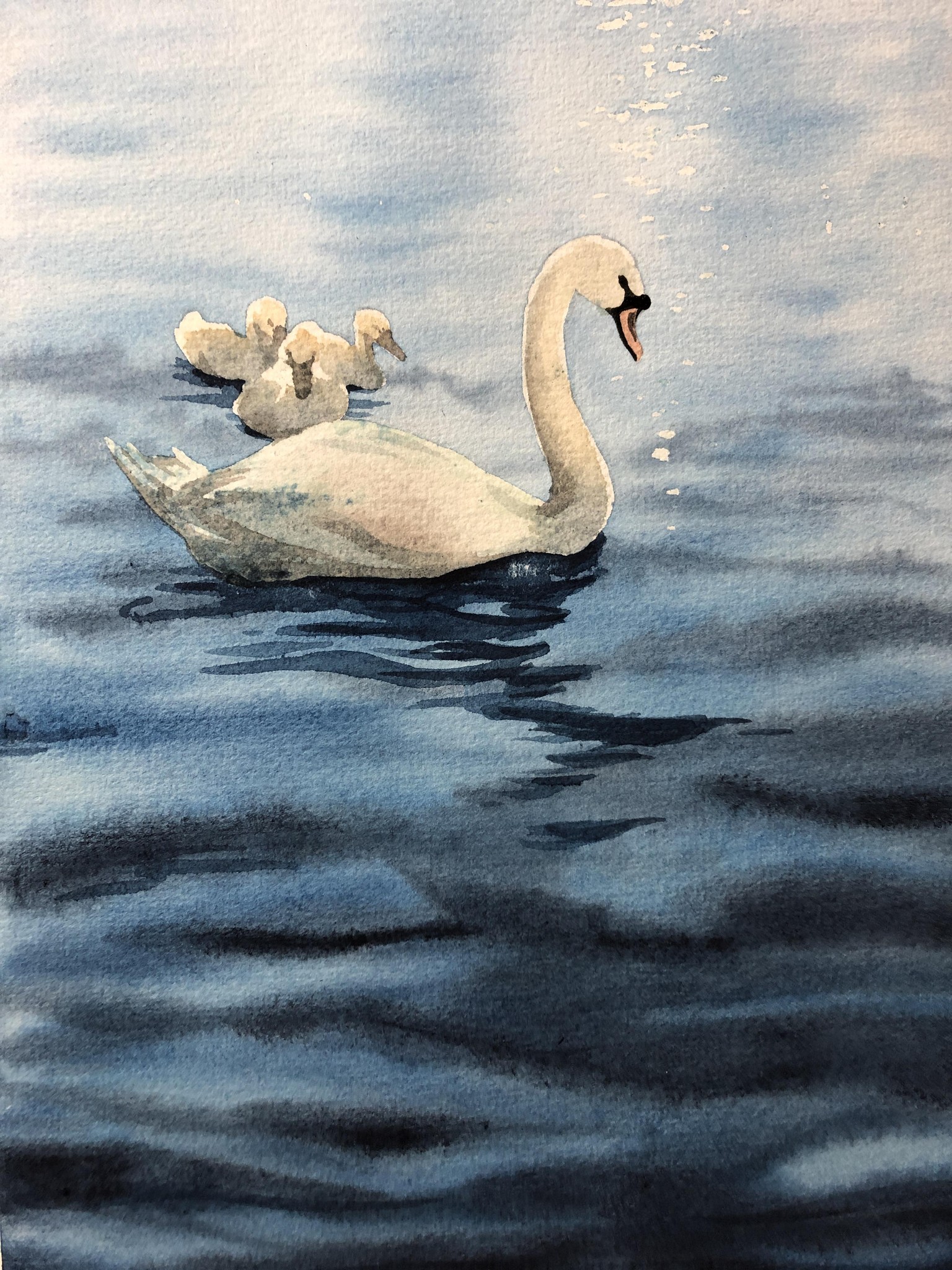 Swan Lake Adventure - image 1 - student project