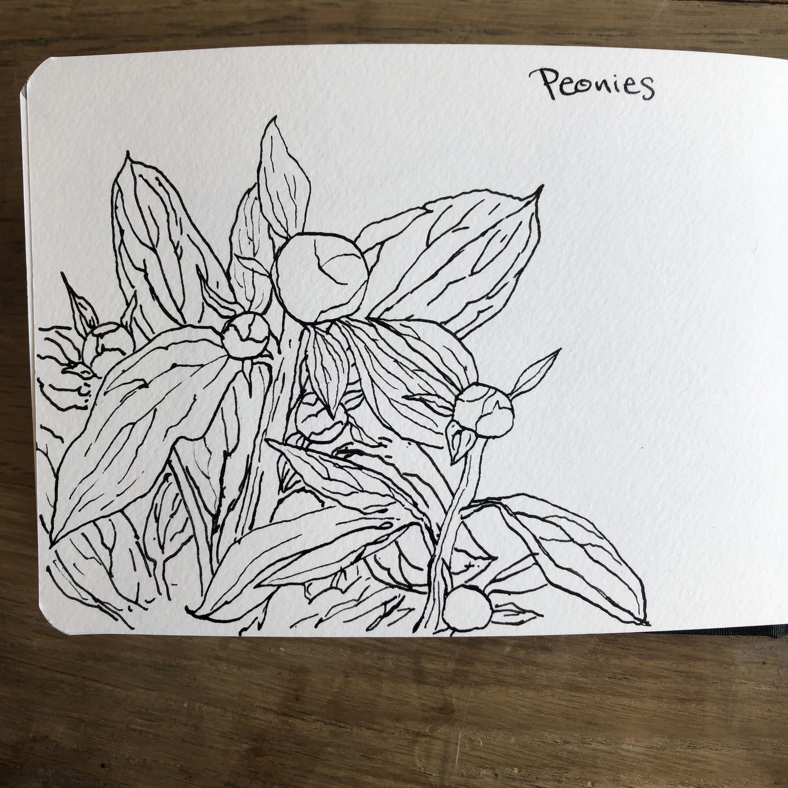 Floral Fun - image 2 - student project