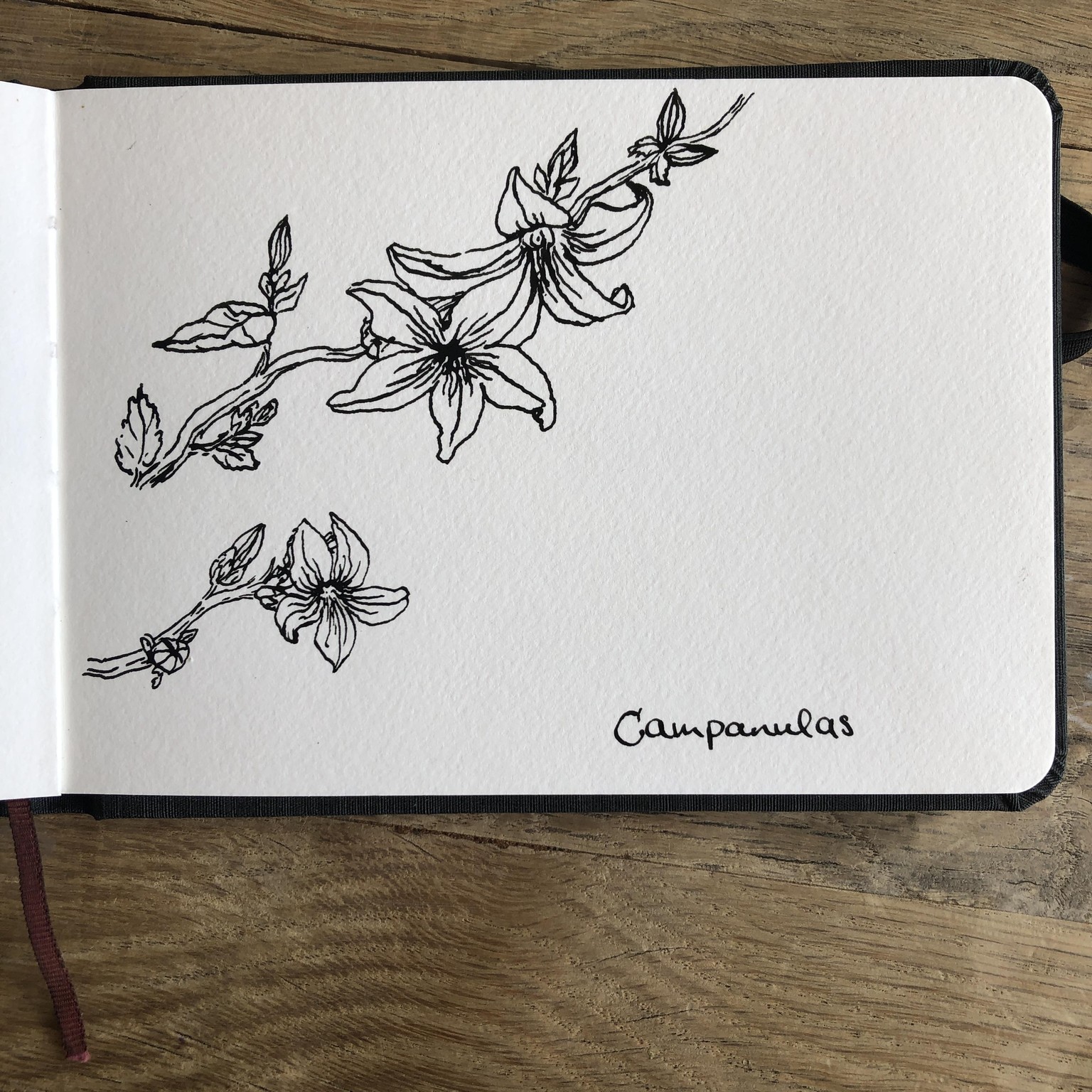 Floral Fun - image 4 - student project