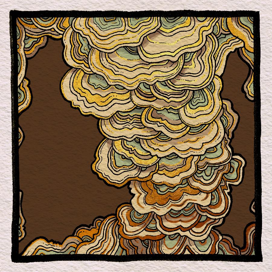 Maro's Patterns - image 12 - student project