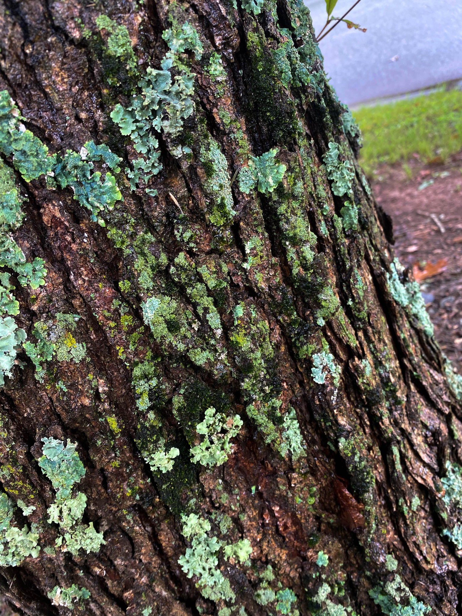 30 Day Challenge Favorites - image 9 - student project