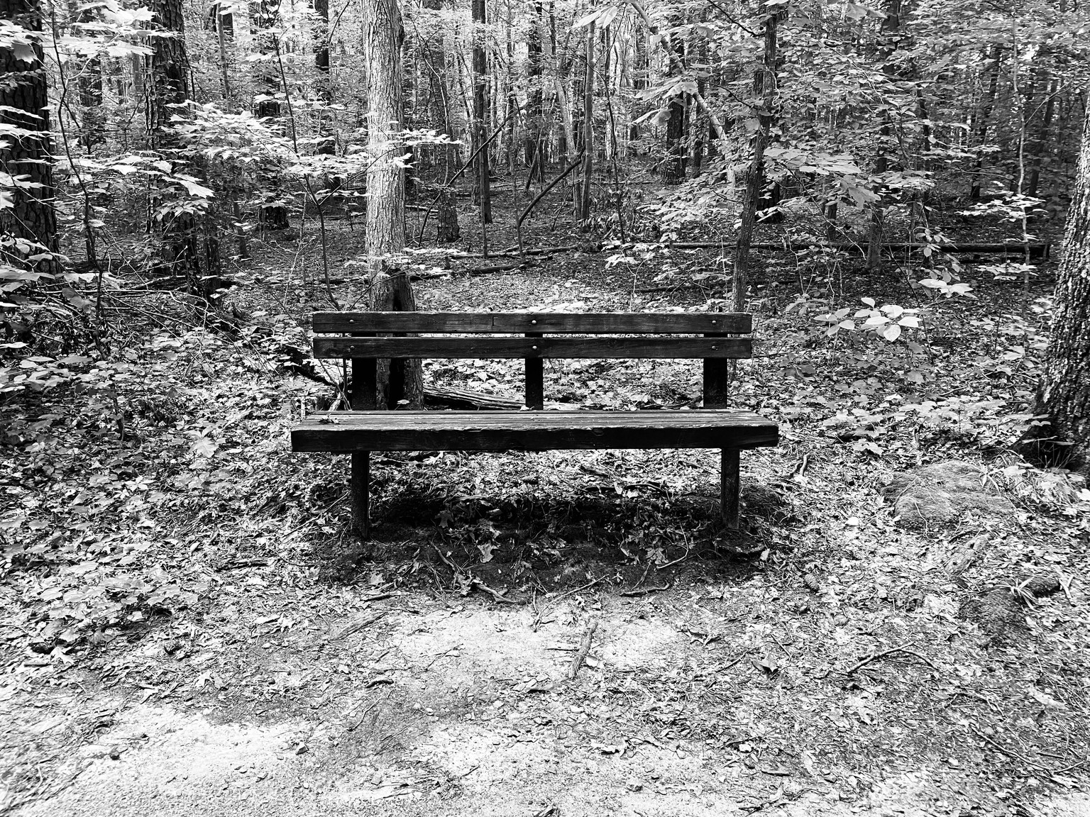 30 Day Challenge Favorites - image 8 - student project