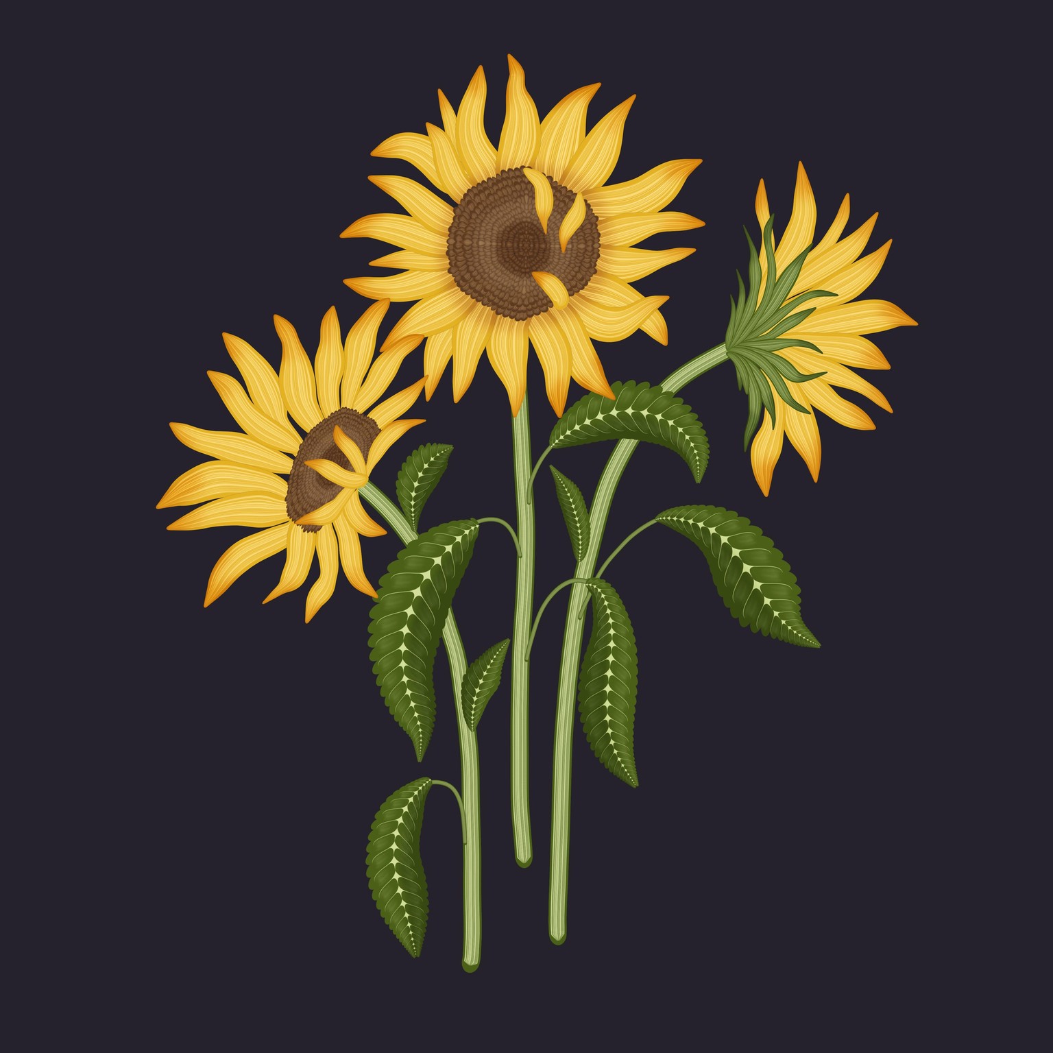 Flower patterns - image 4 - student project