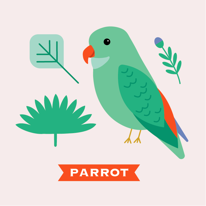 parrot - image 1 - student project