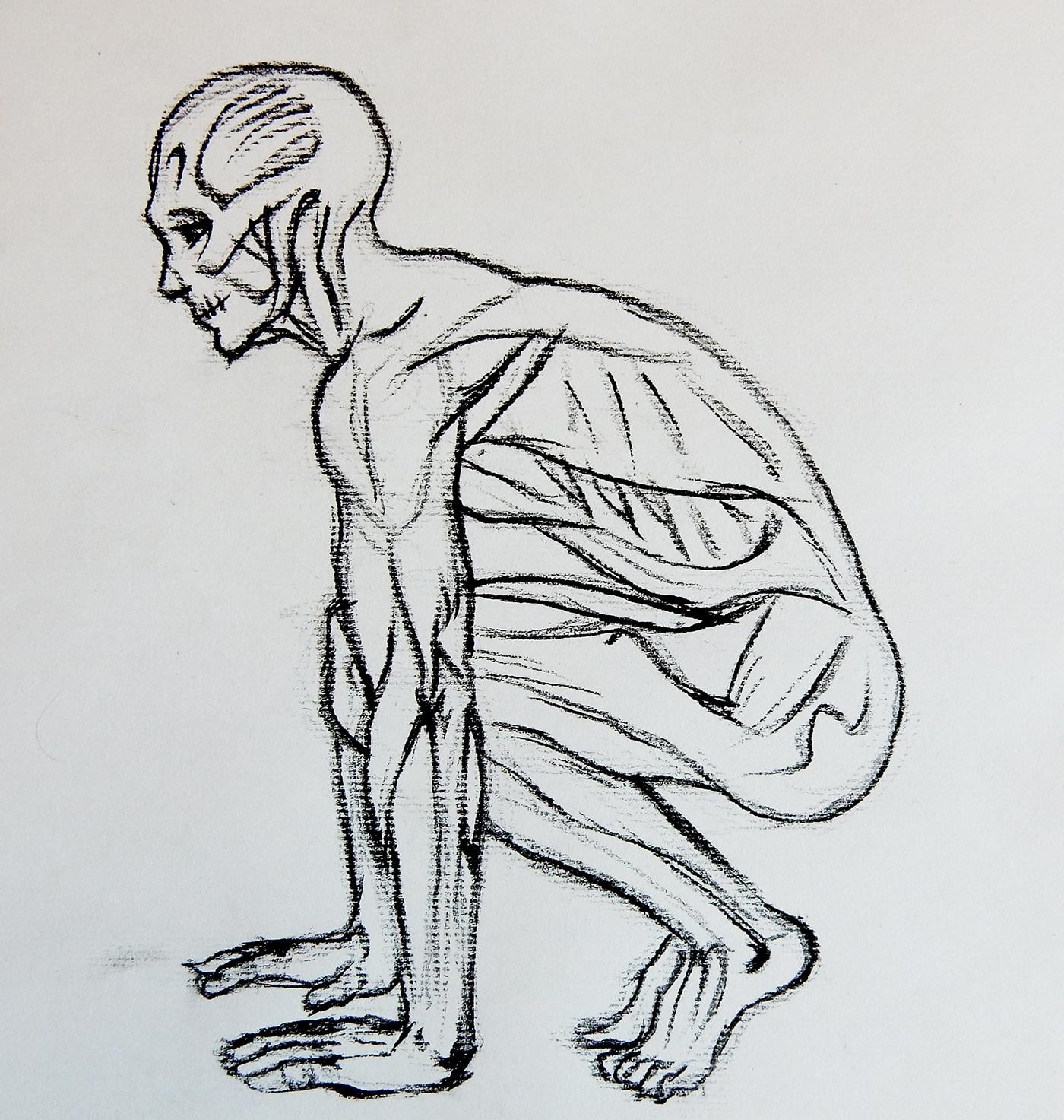 Example - side view drawings - image 3 - student project