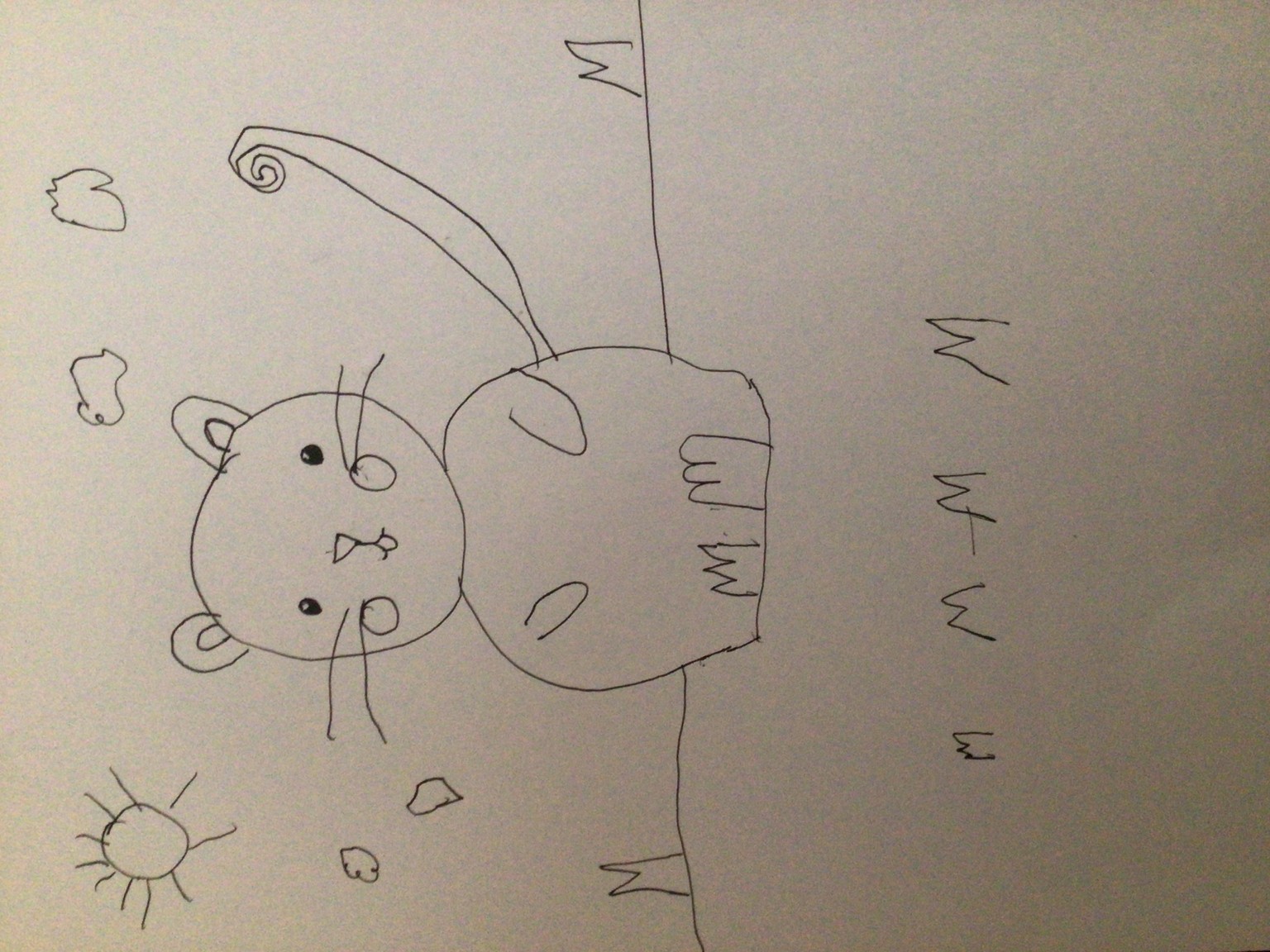 A little mouse - image 1 - student project