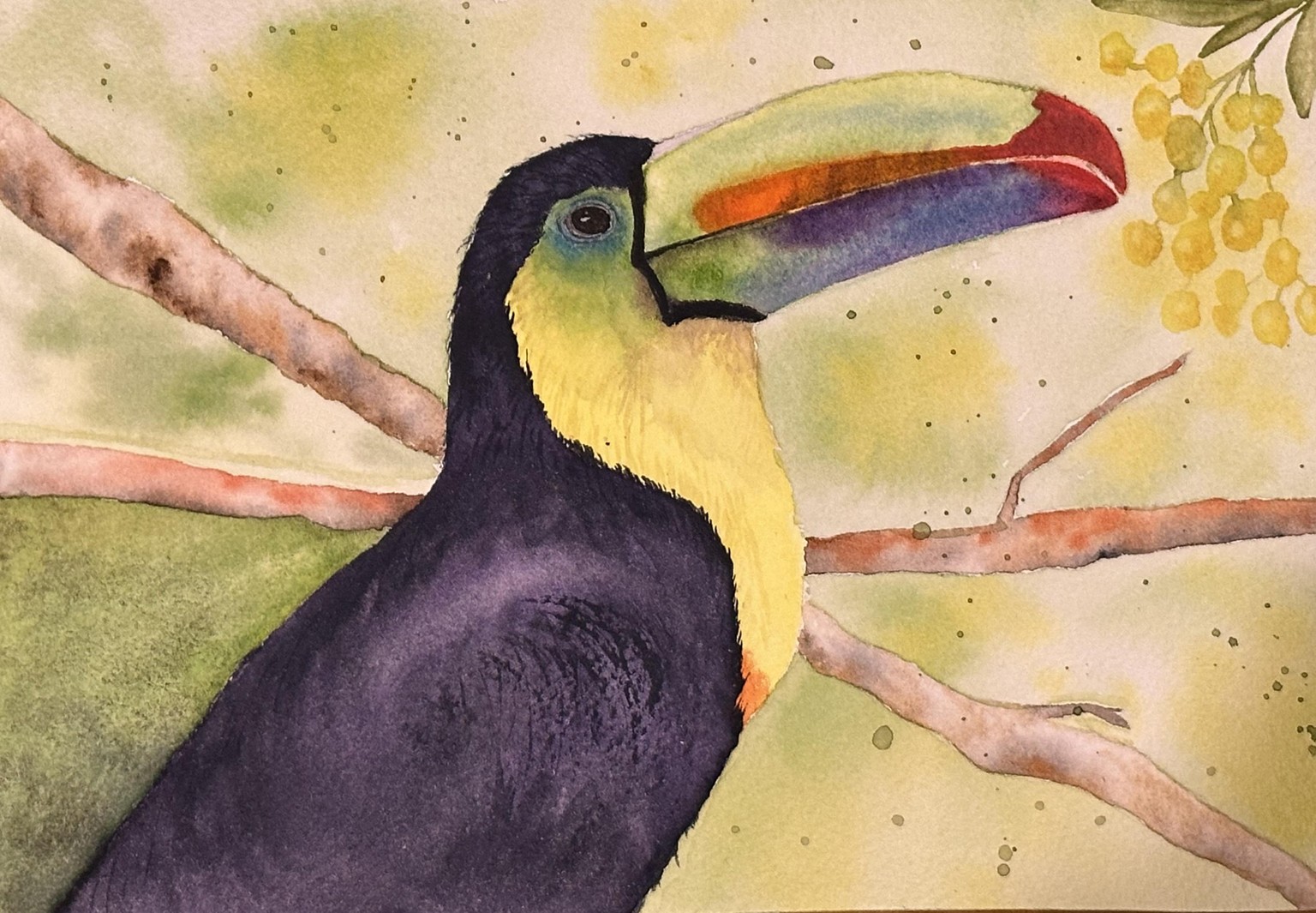 Toucan tutorial - image 1 - student project