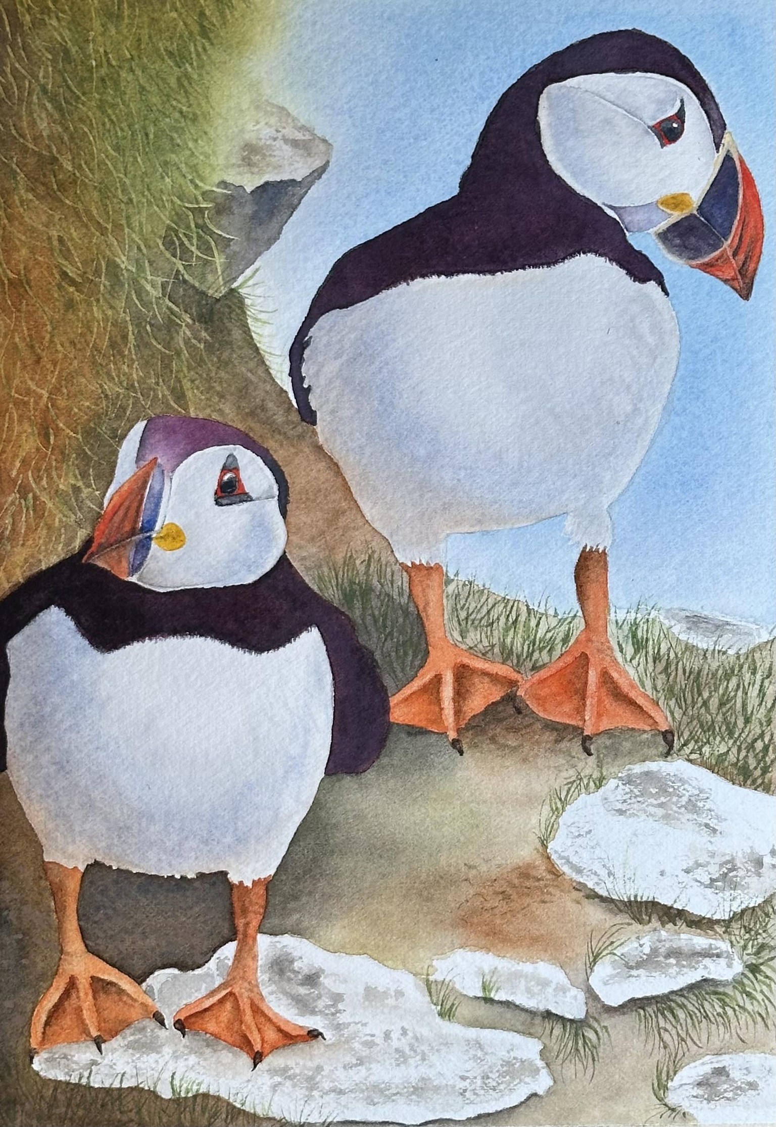 Puffins in watercolour - image 1 - student project