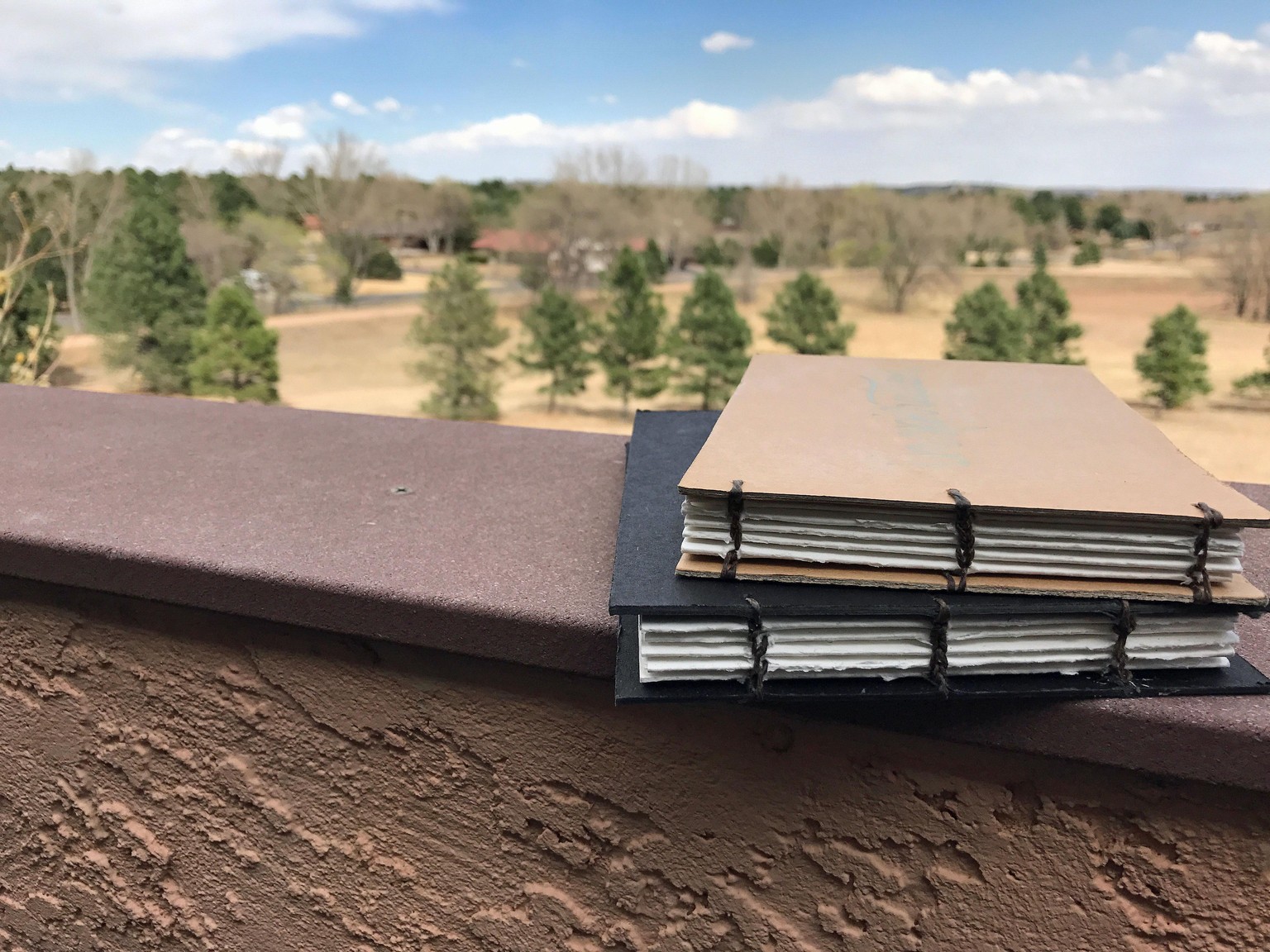 Homemade Watercolor Sketchbook - Yay! - image 1 - student project