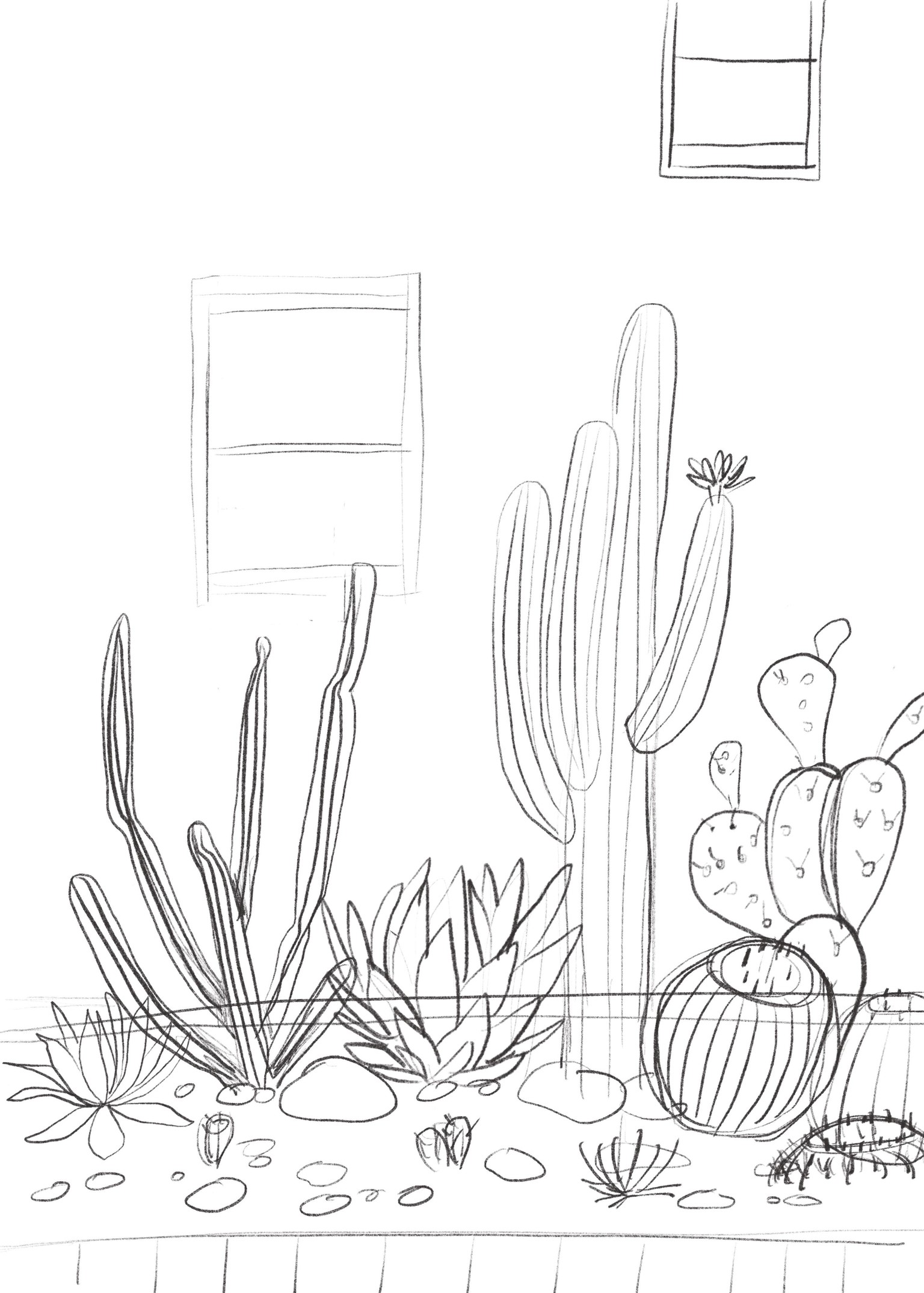 Desert Home Garden - image 2 - student project