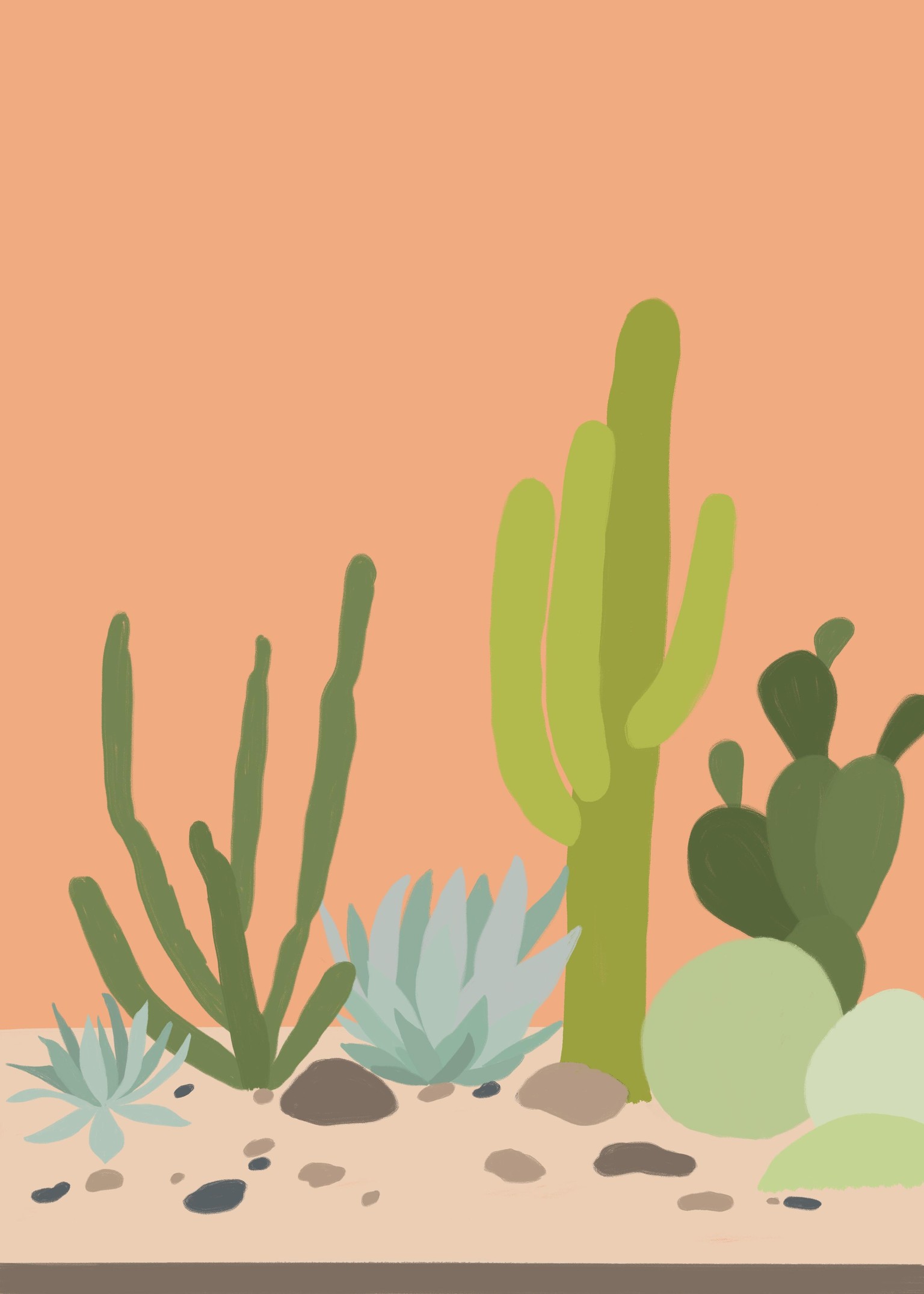 Desert Home Garden - image 3 - student project