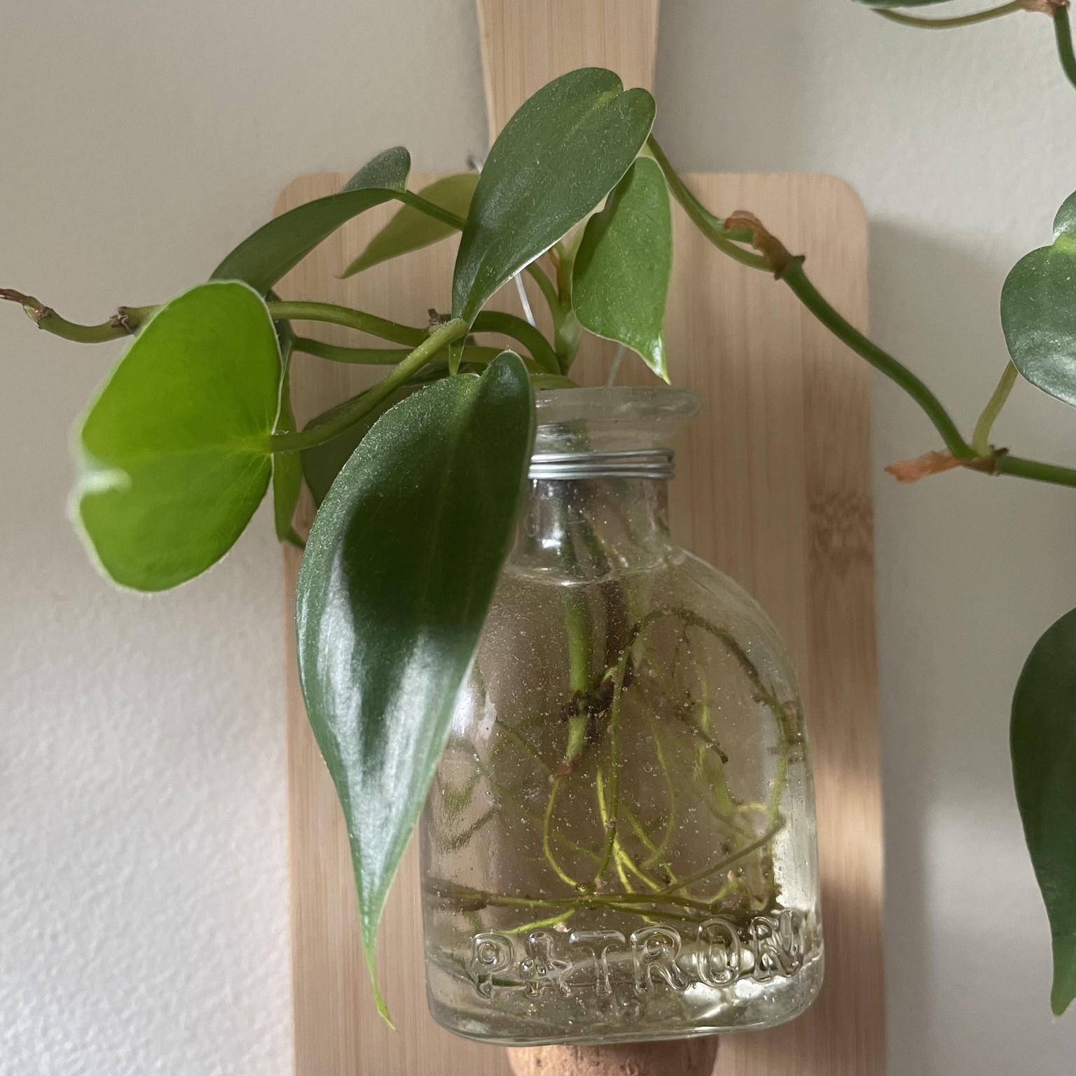 Propagations - image 2 - student project