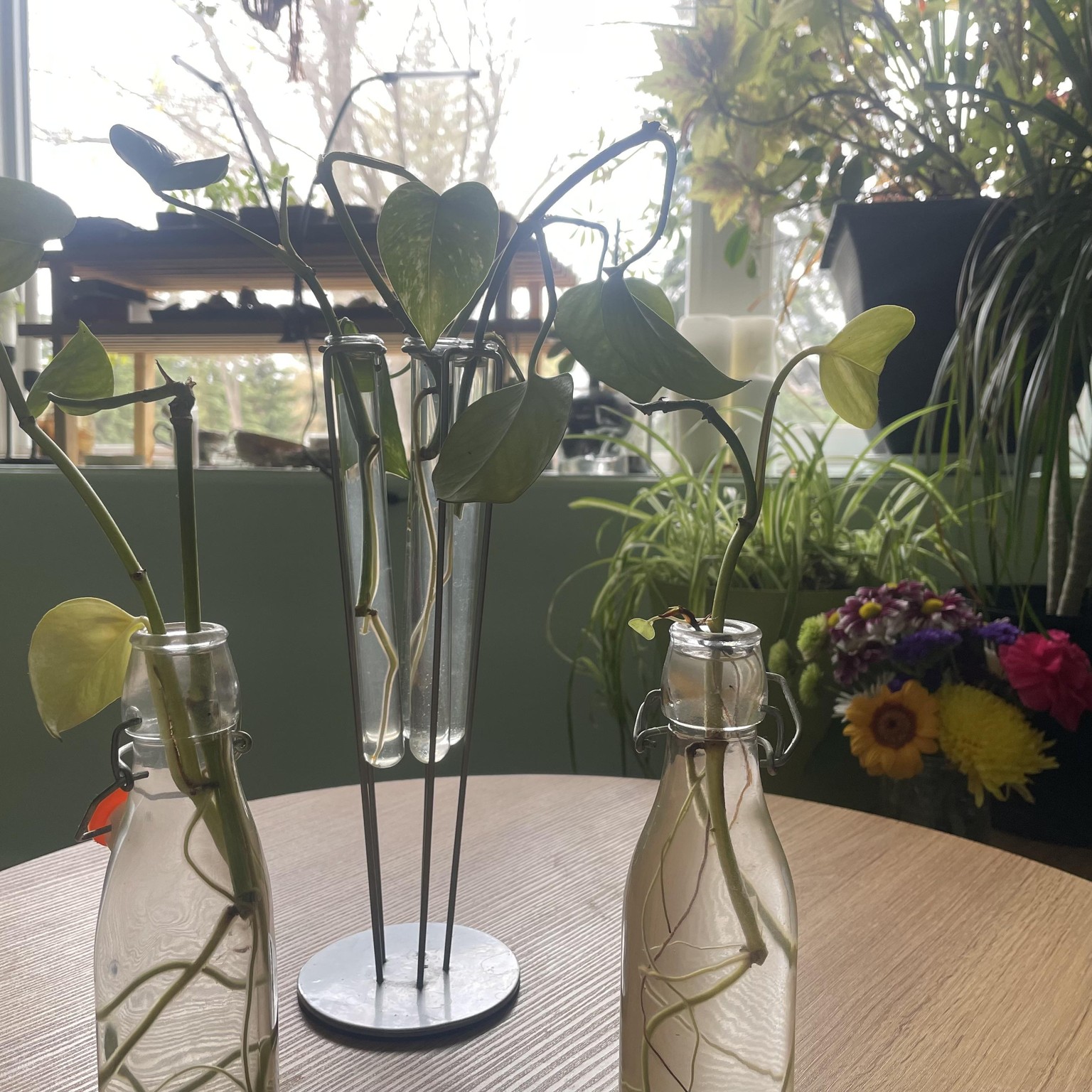 Propagations - image 1 - student project