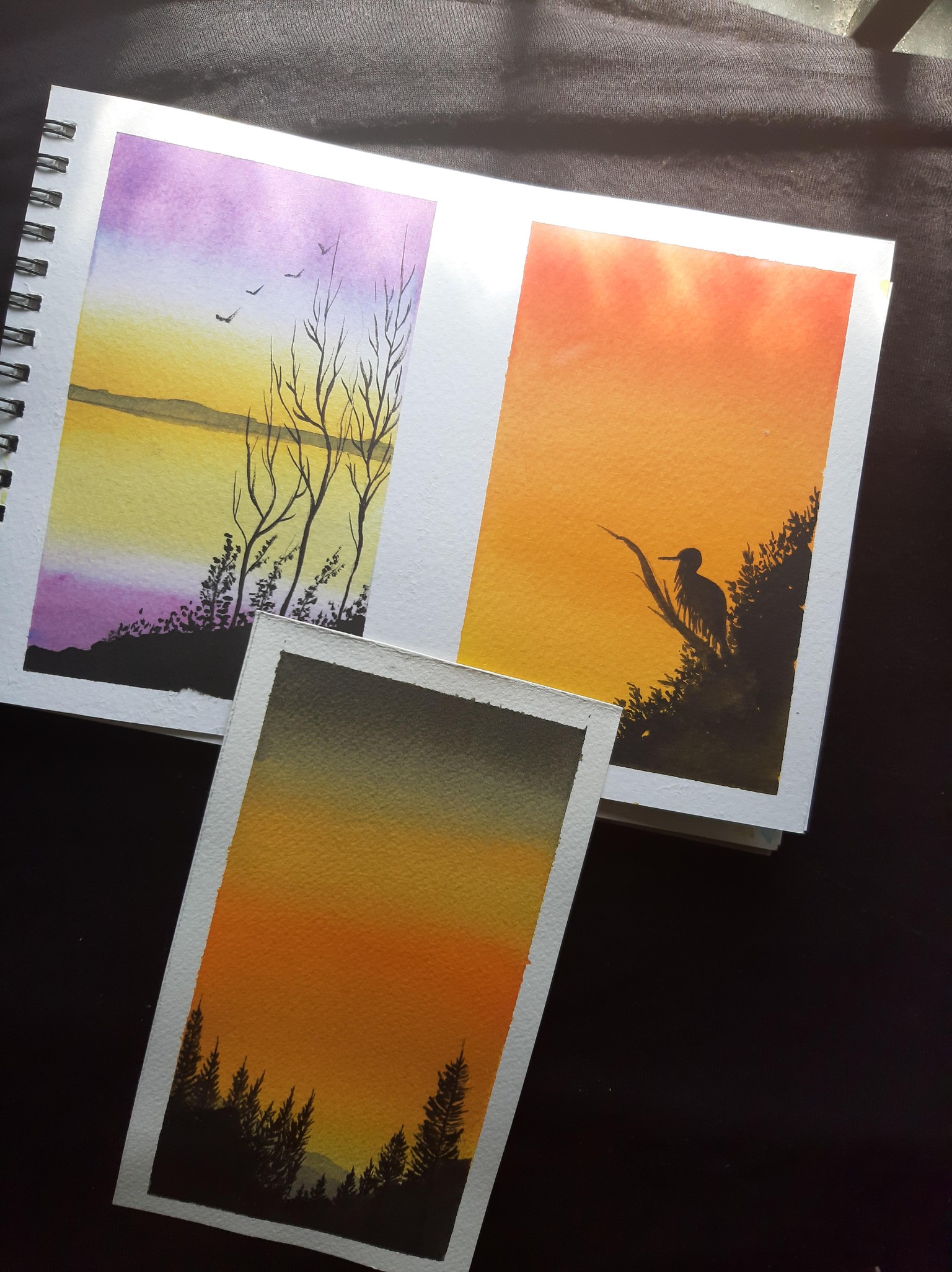 Shilouettes - image 1 - student project