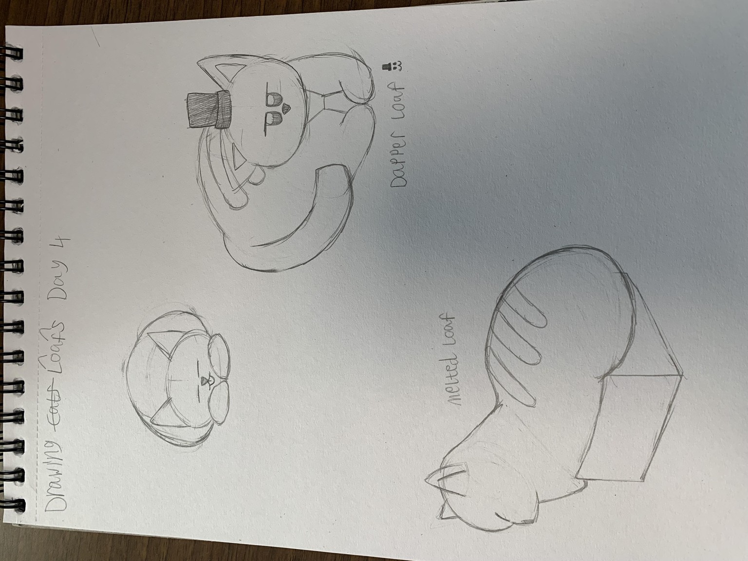 Five day cat challenge! - image 4 - student project
