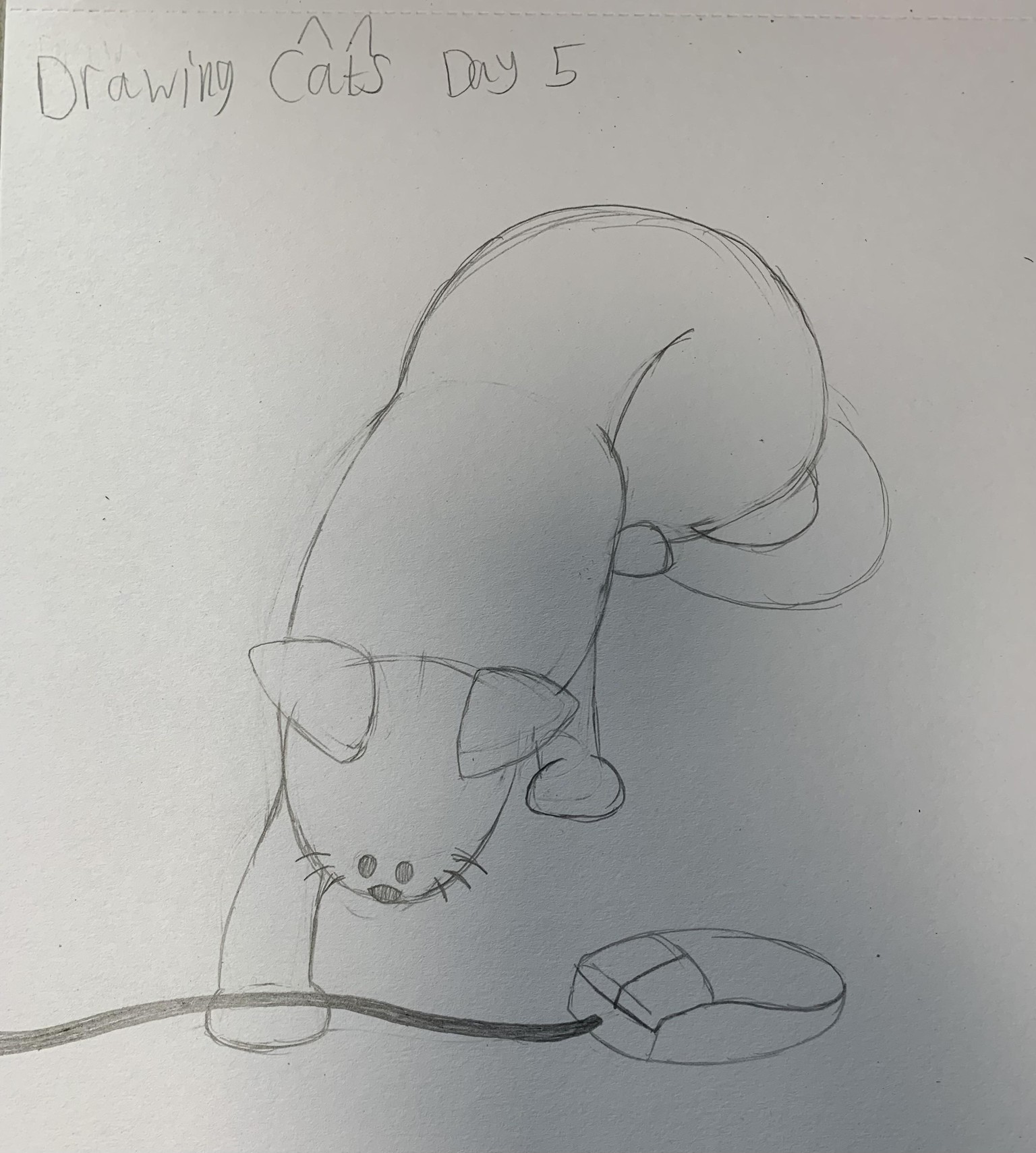 Five day cat challenge! - image 5 - student project
