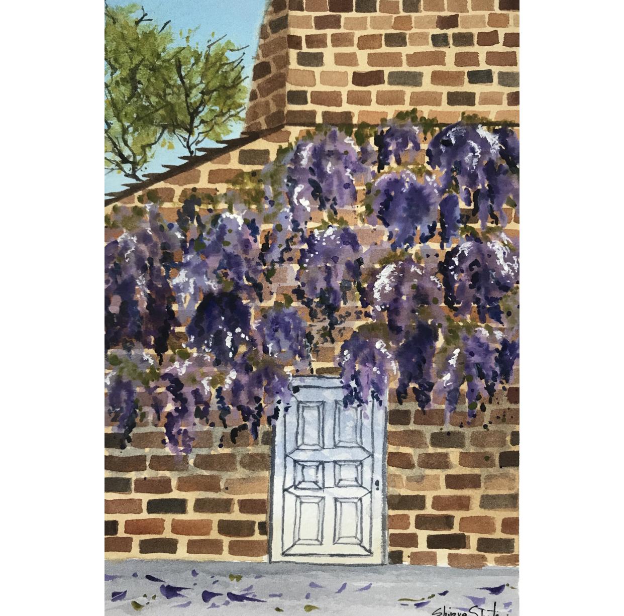 Brick wall with wisteria flowers - image 1 - student project