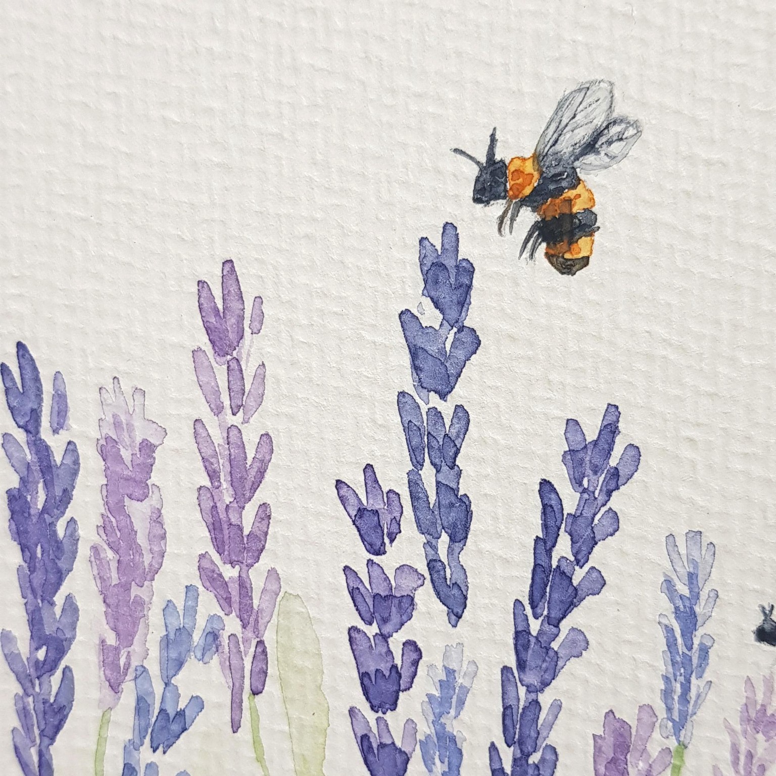 Watercolor Lavender & Bee - image 1 - student project