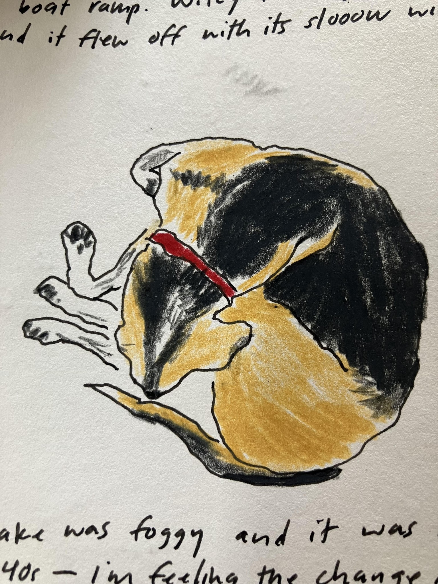 14 days - image 3 - student project