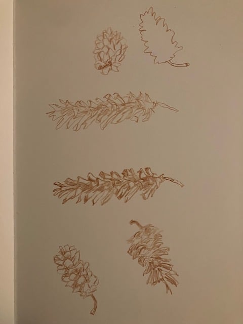 Contour drawings - image 2 - student project