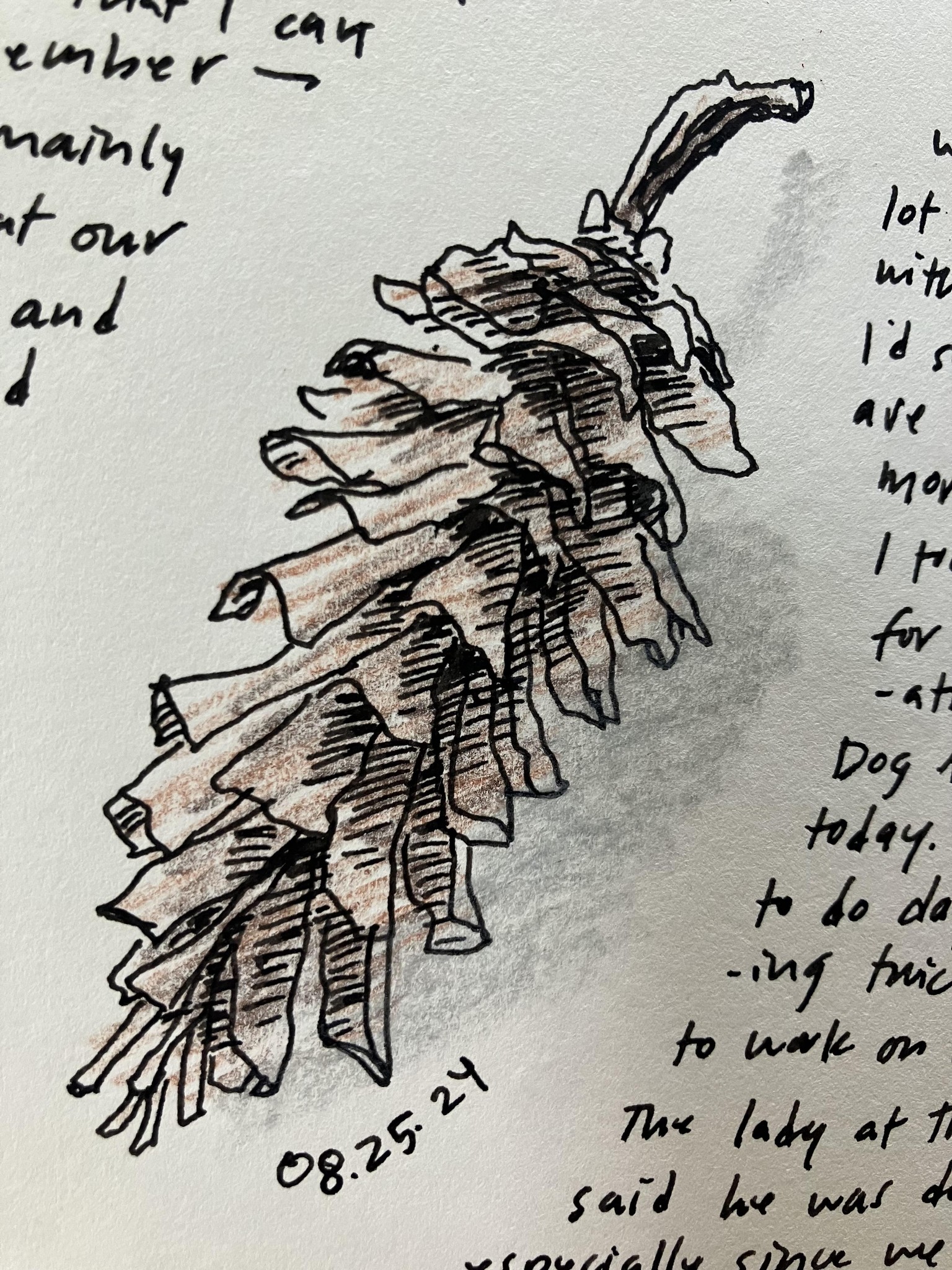 14 days - image 7 - student project
