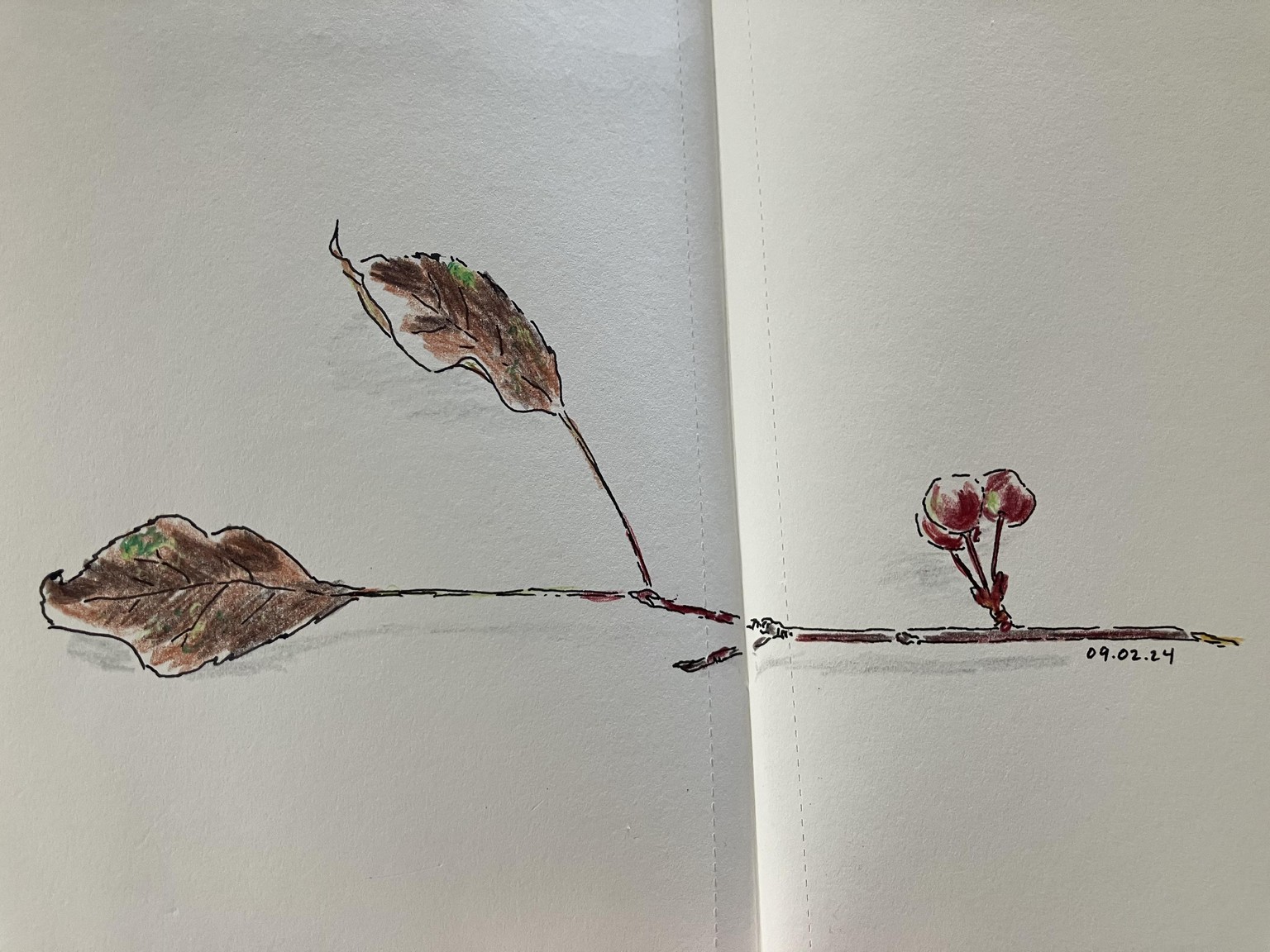 14 days - image 14 - student project