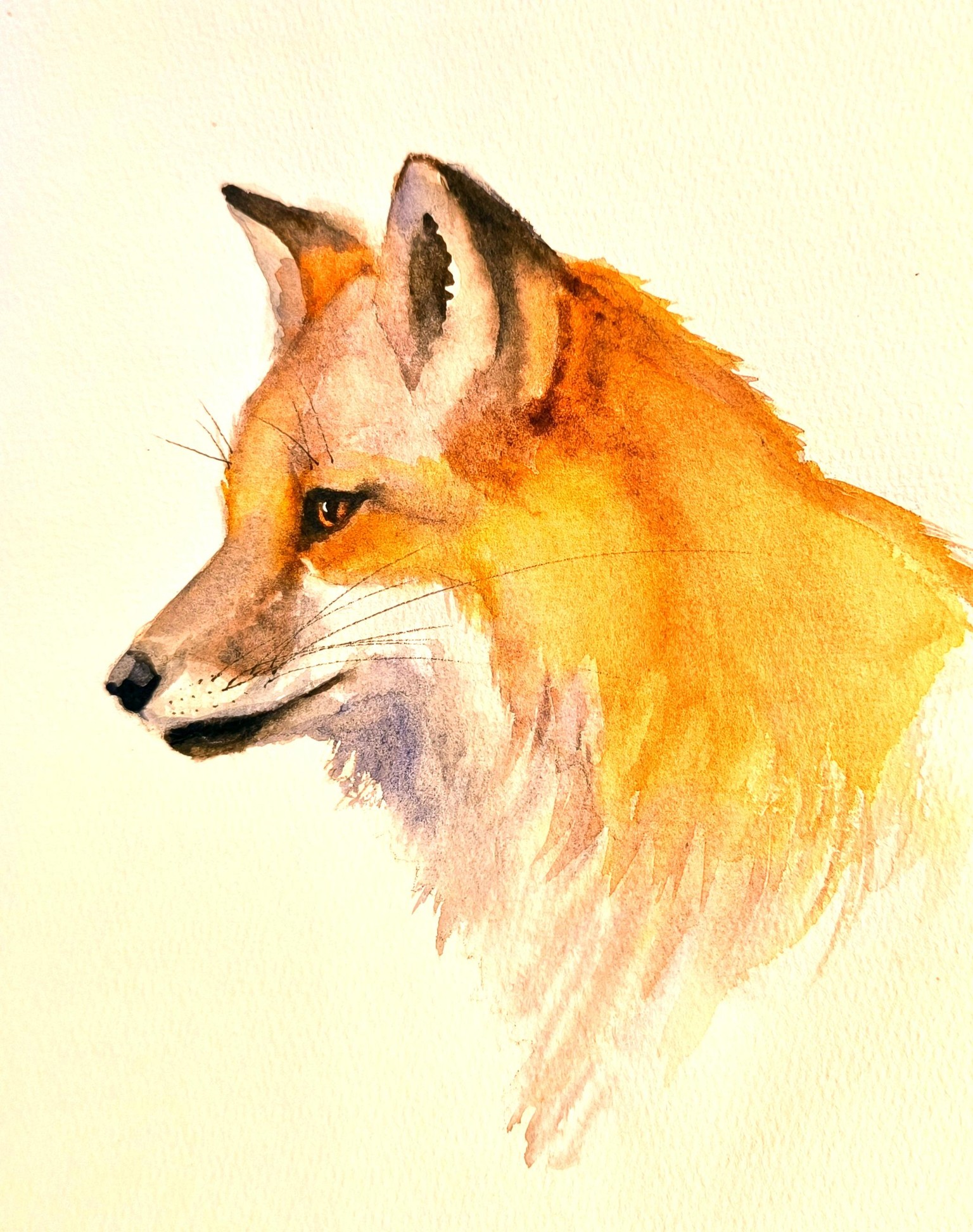 Mr. Fox - image 1 - student project