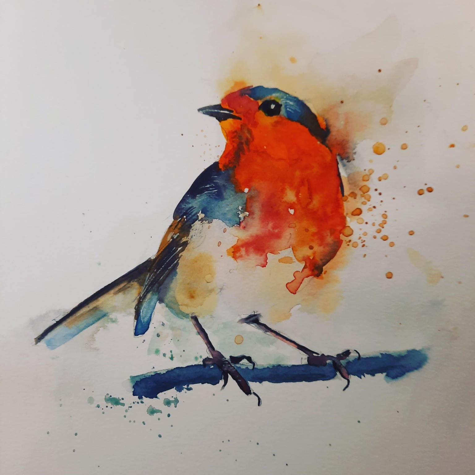 My Robin - image 1 - student project