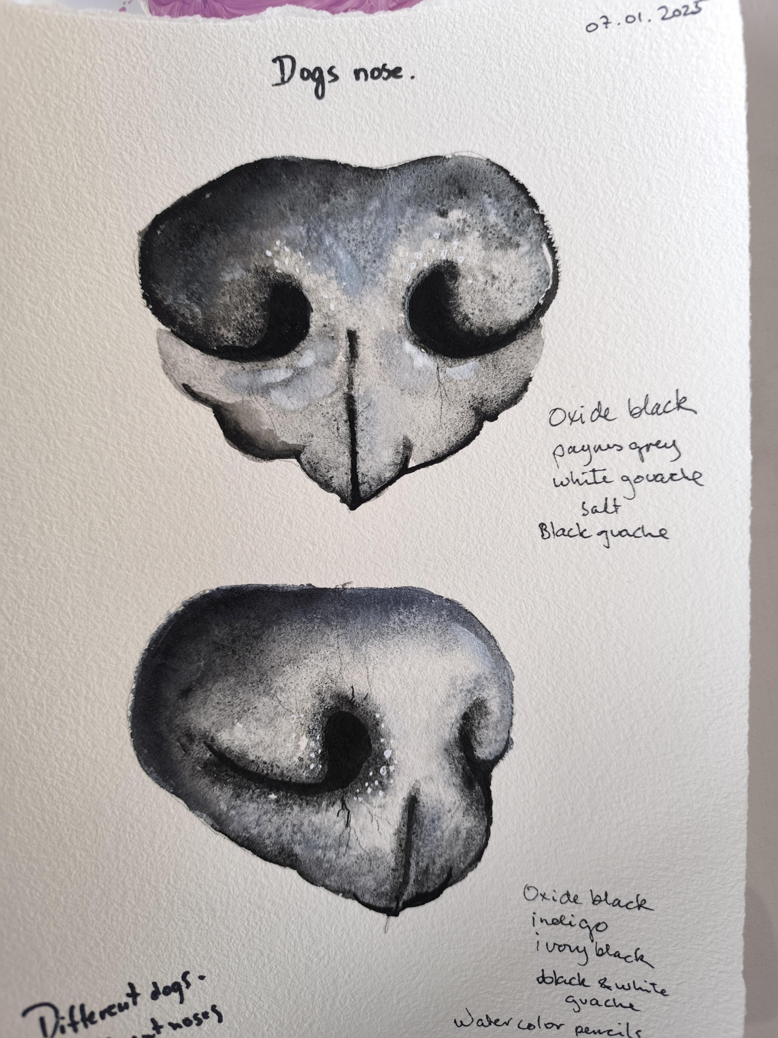 Black dog nose - image 1 - student project