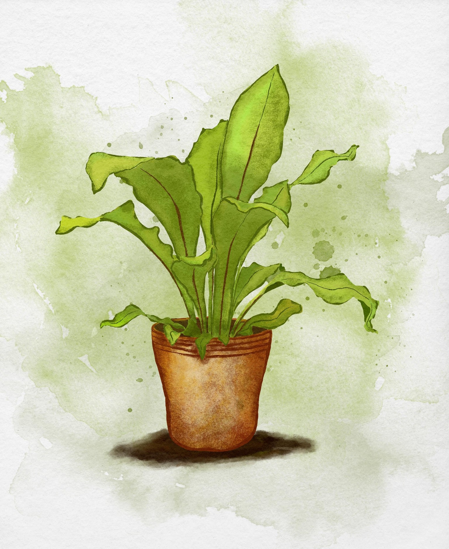 House plant - image 1 - student project