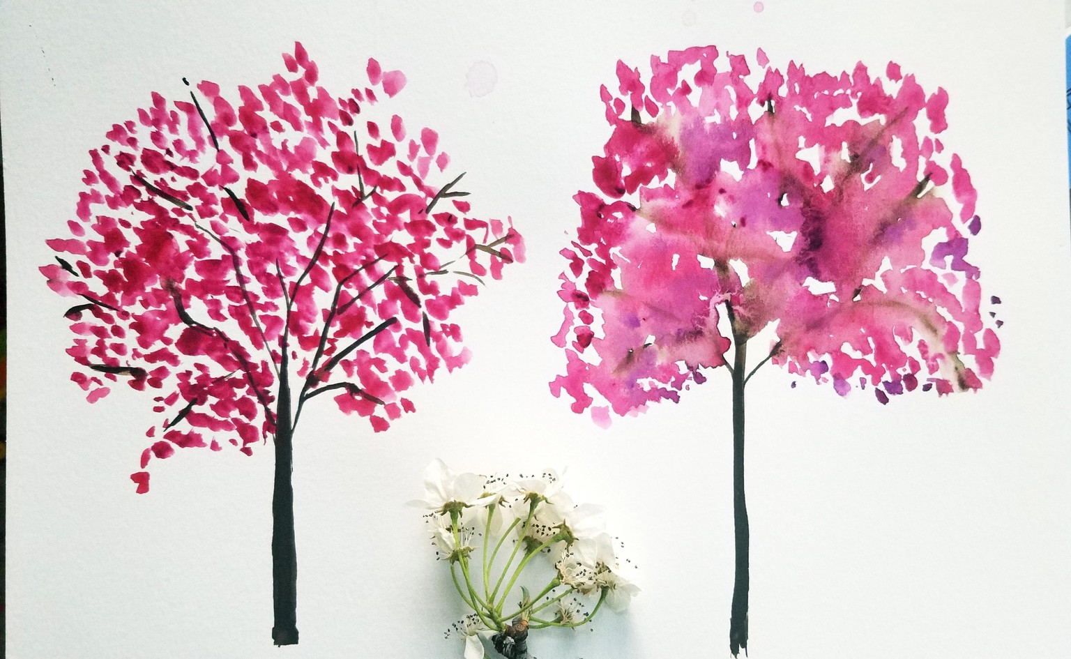 Watercolor bougainvillea trees - image 1 - student project