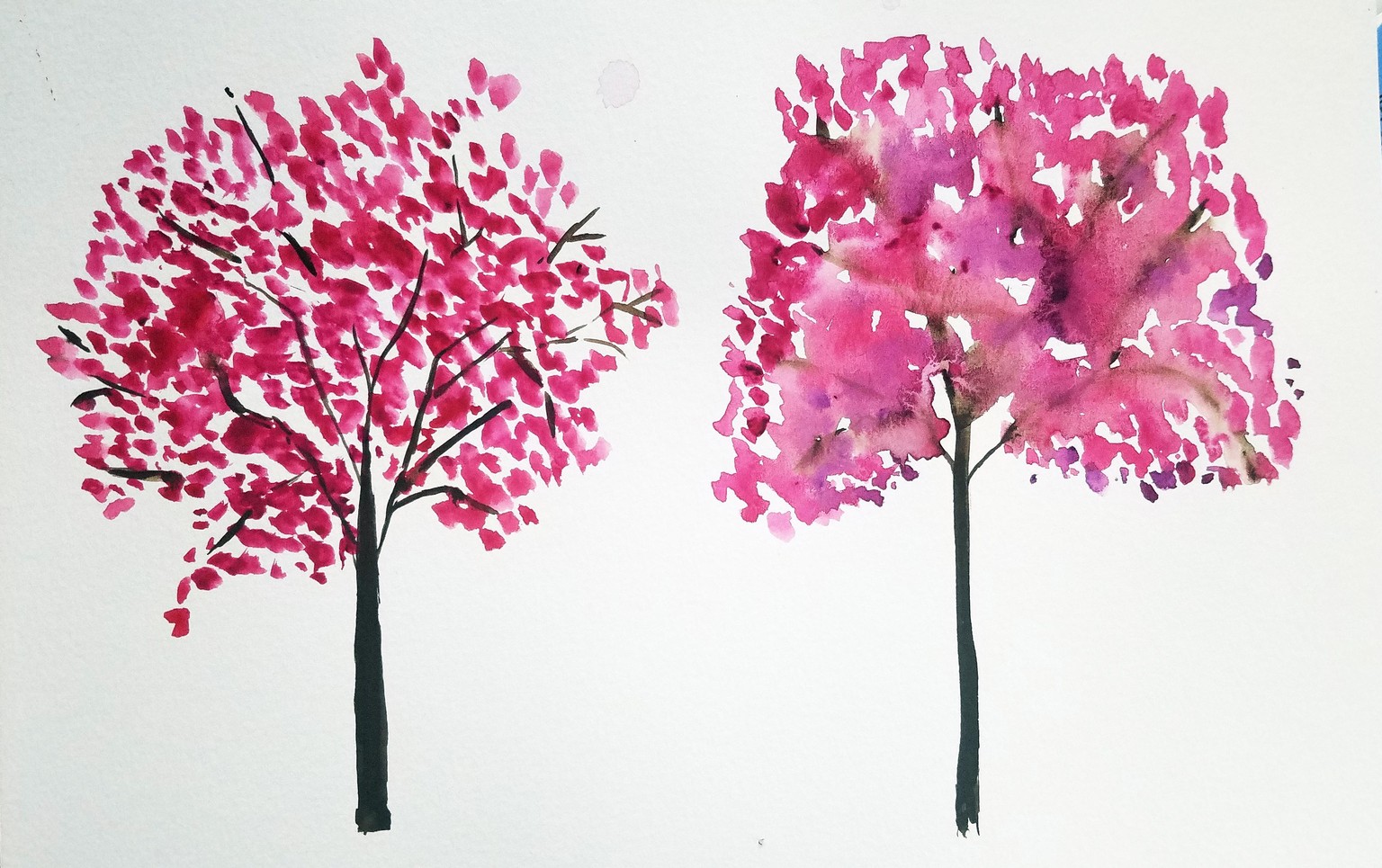 Watercolor bougainvillea trees - image 3 - student project