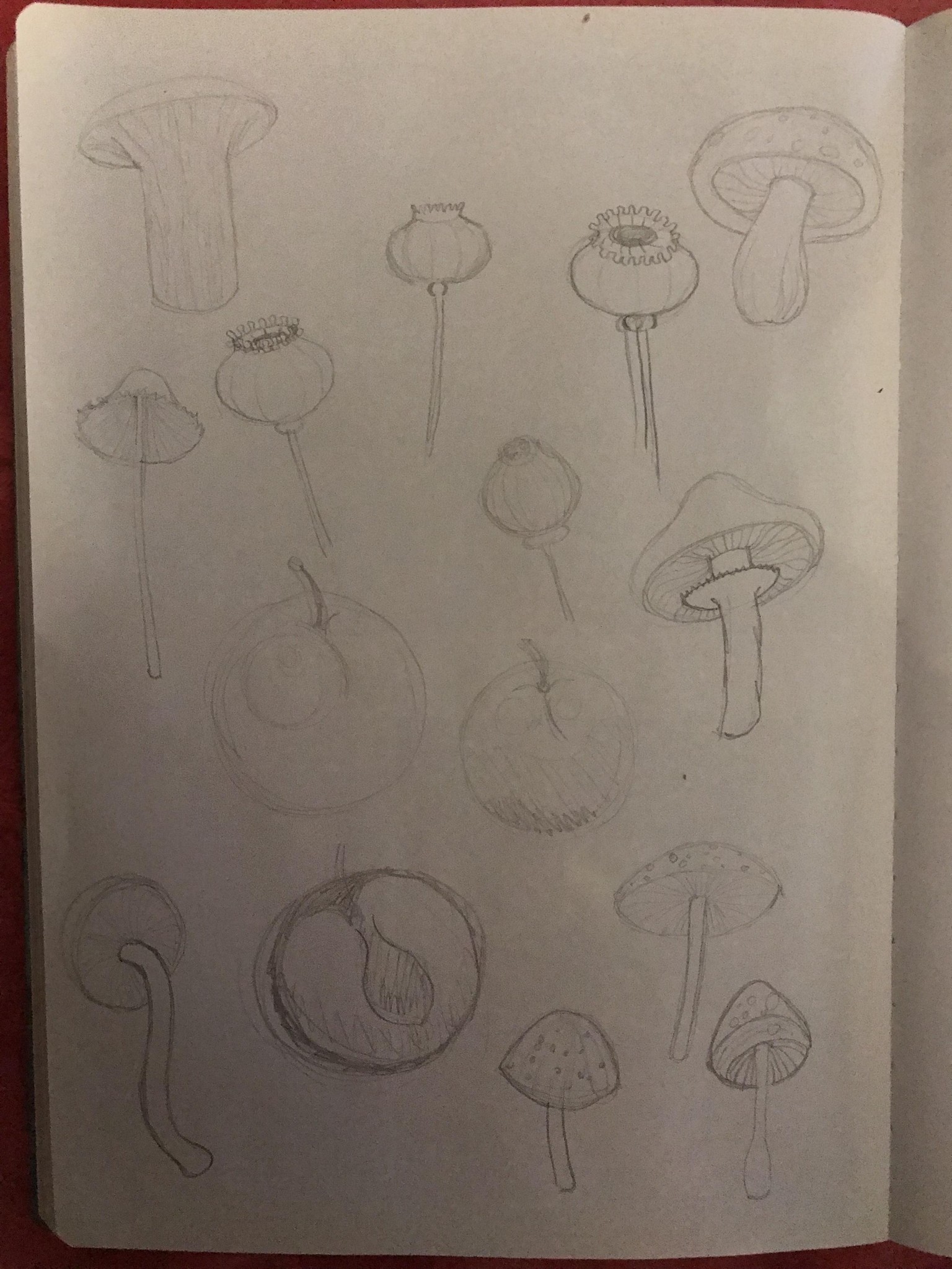 Mushroom Prompts - image 3 - student project