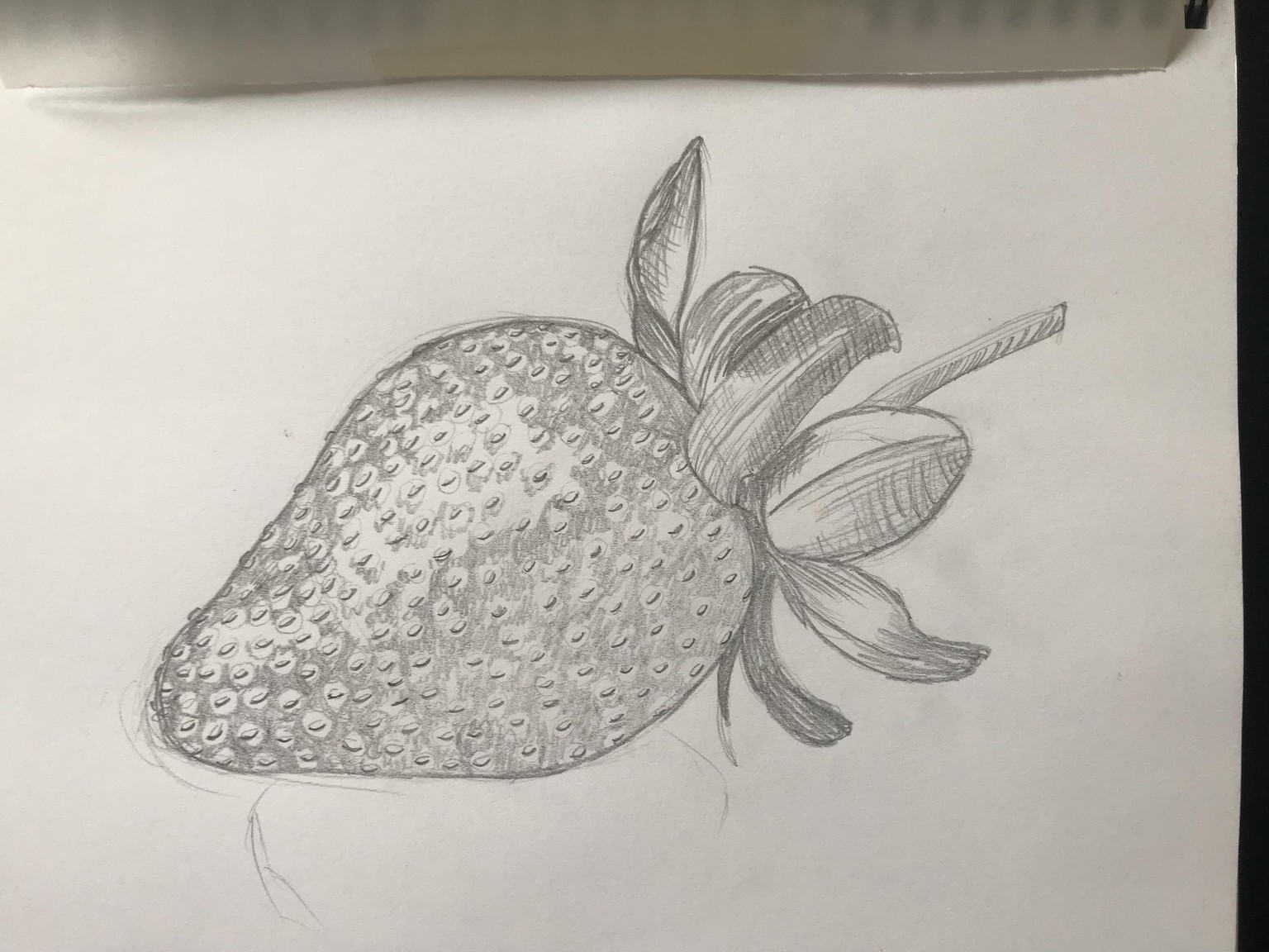 Drawing of a Strawberry - image 2 - student project