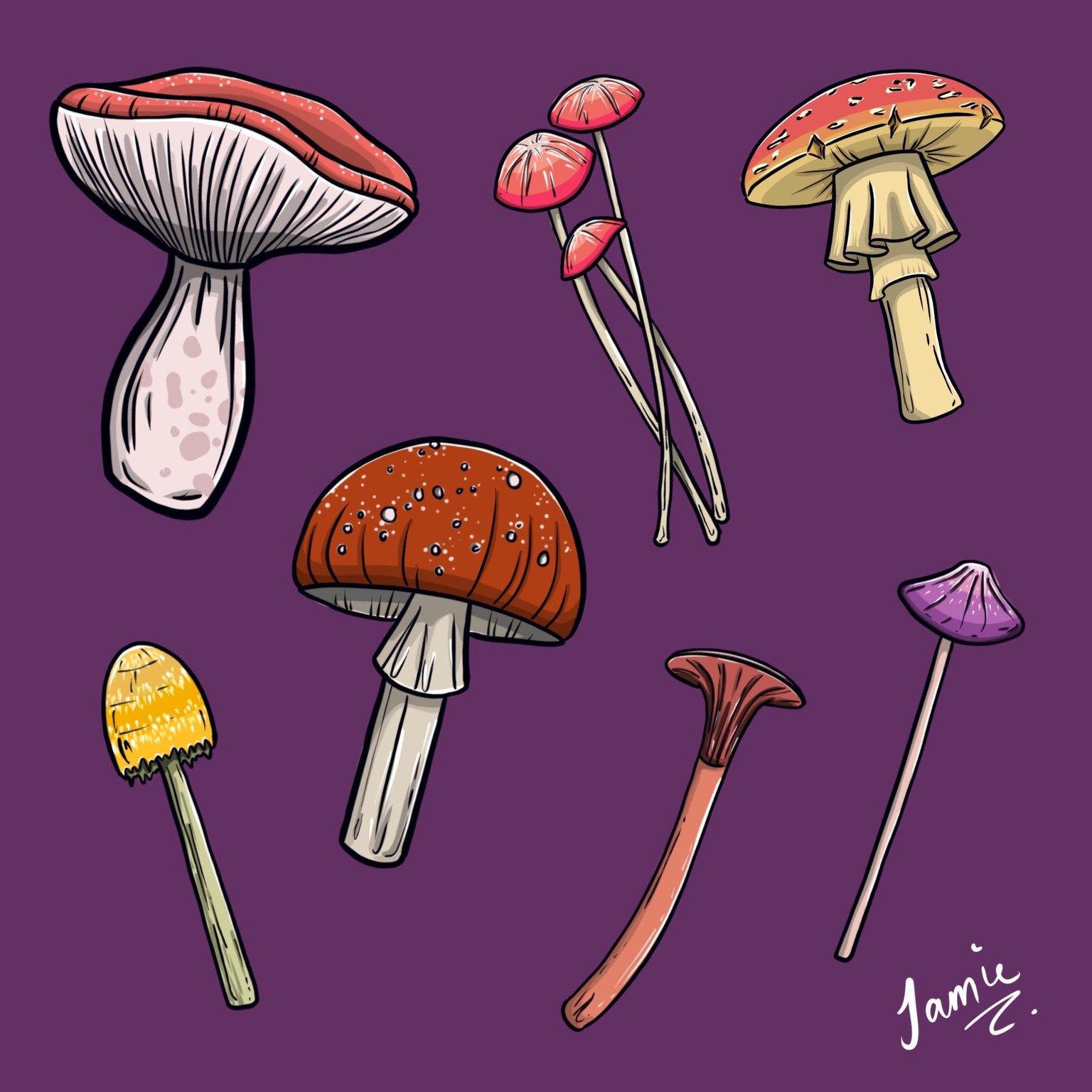 Mushroom Prompts - image 2 - student project