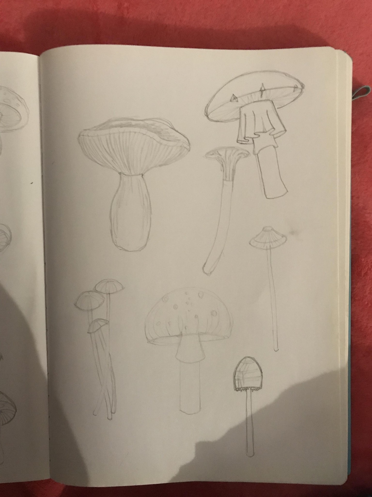 Mushroom Prompts - image 1 - student project
