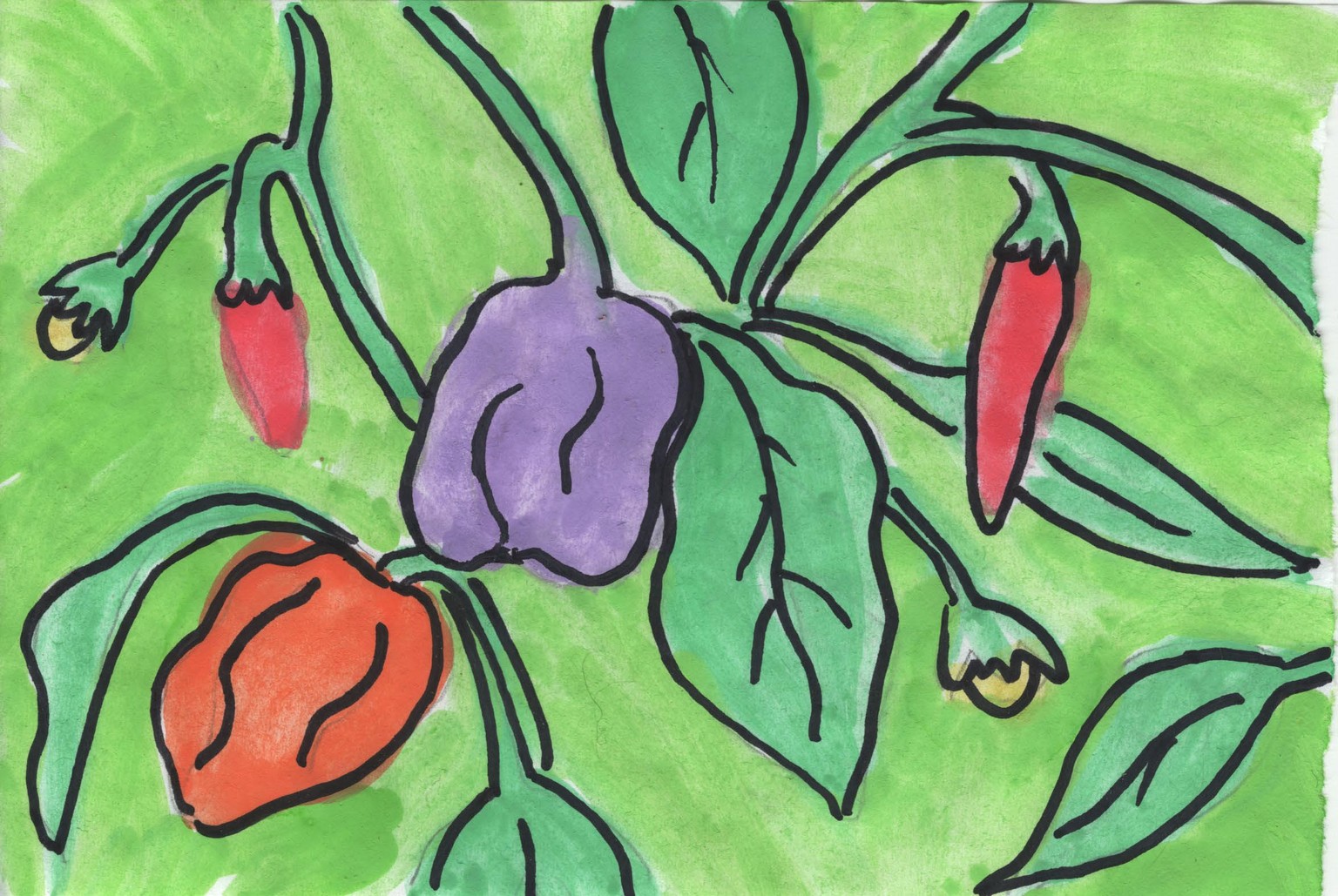 peppers - image 1 - student project