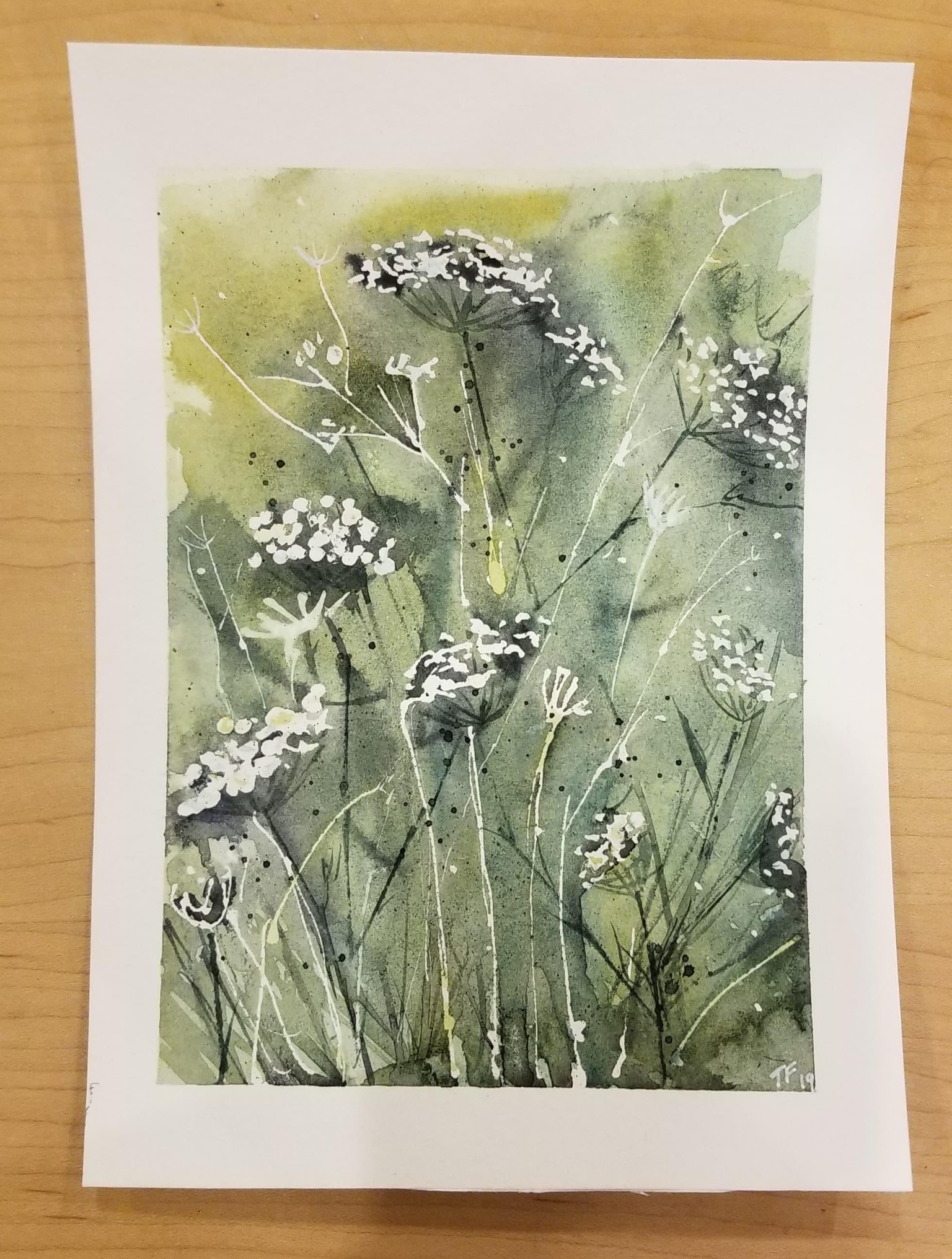 Queen Anne's Lace and Epimediums - image 4 - student project