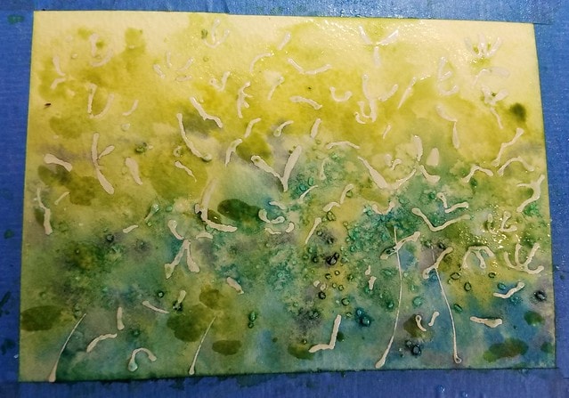 Queen Anne's Lace and Epimediums - image 2 - student project