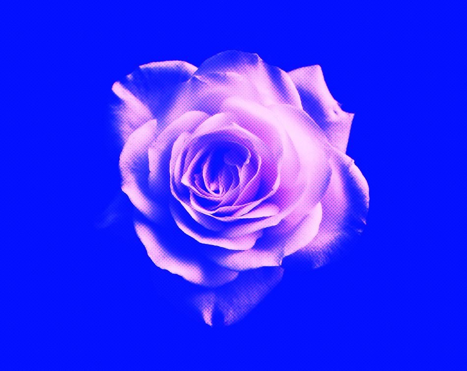 Experimenting a lot - image 2 - student project