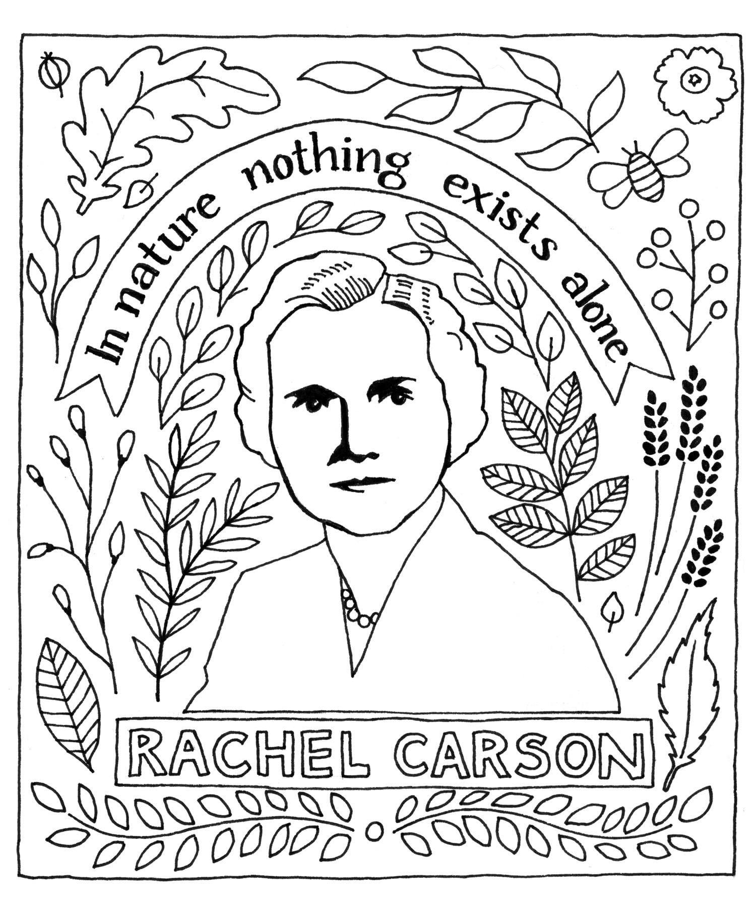Rachel Carson - image 1 - student project