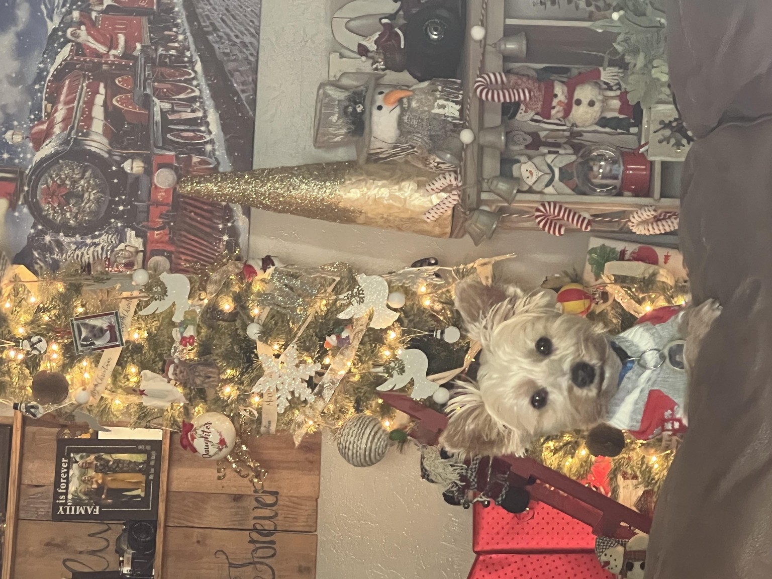 Christmas - image 1 - student project