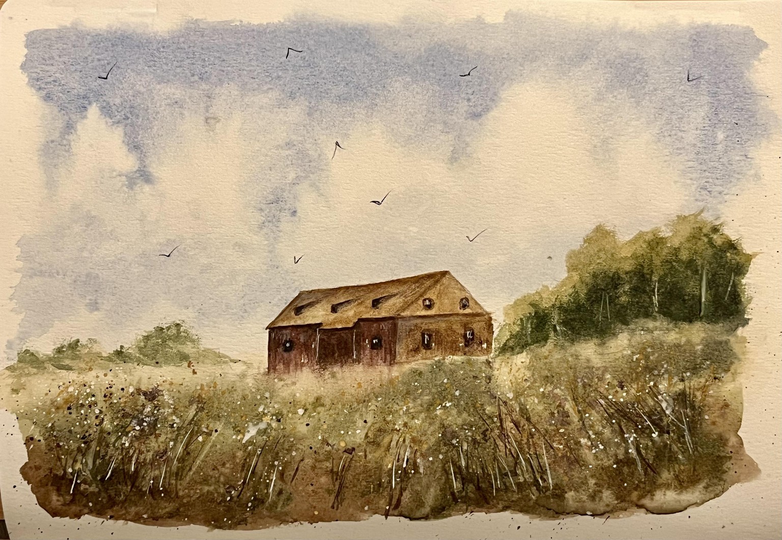 Barn and Flower Field - image 1 - student project