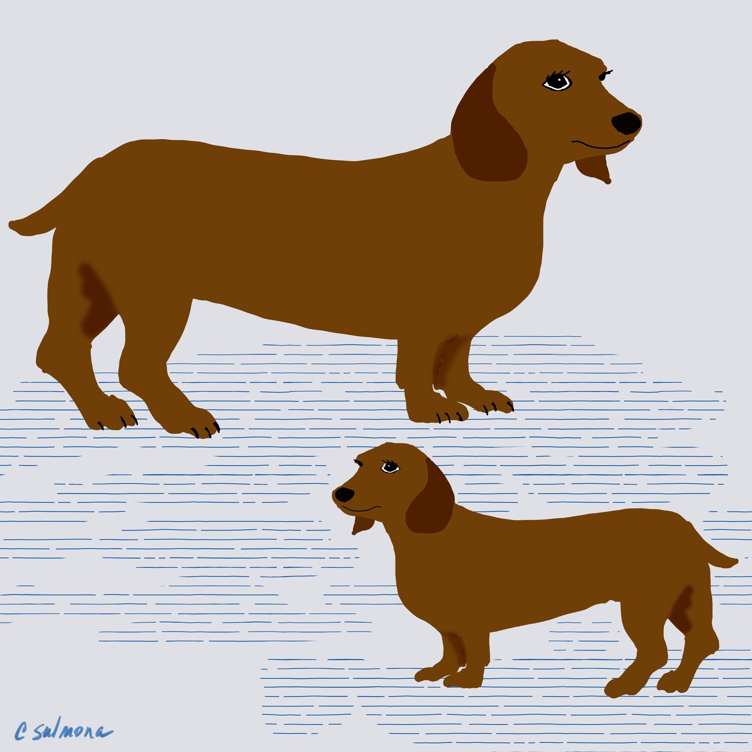 My Little Dogs - image 1 - student project