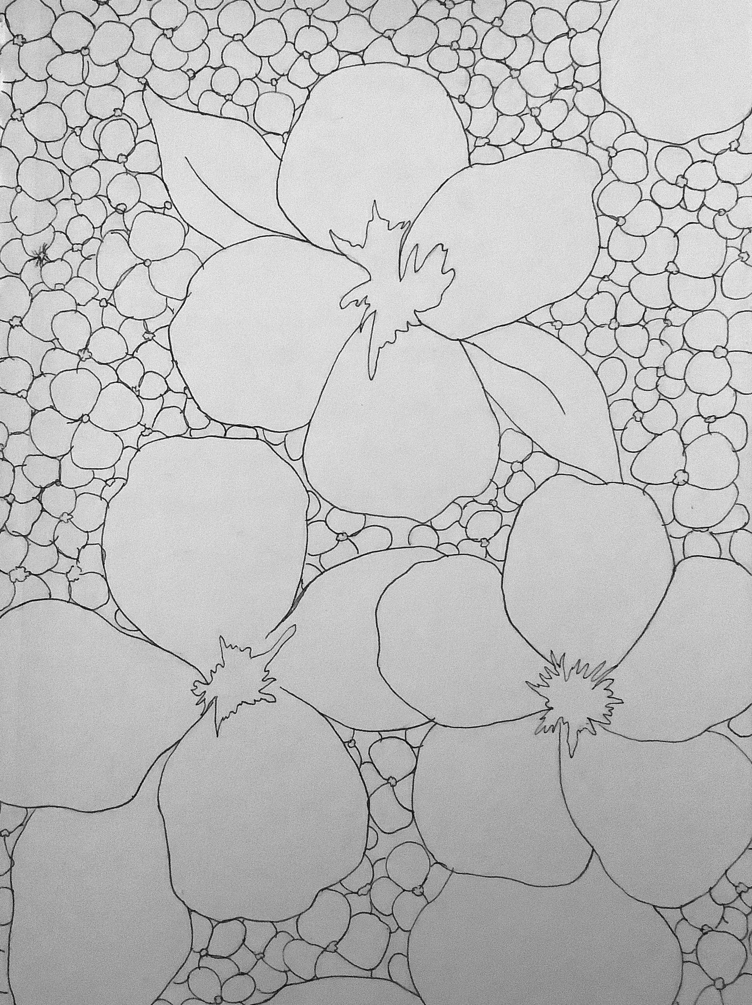 Flower Coloring Page - image 1 - student project