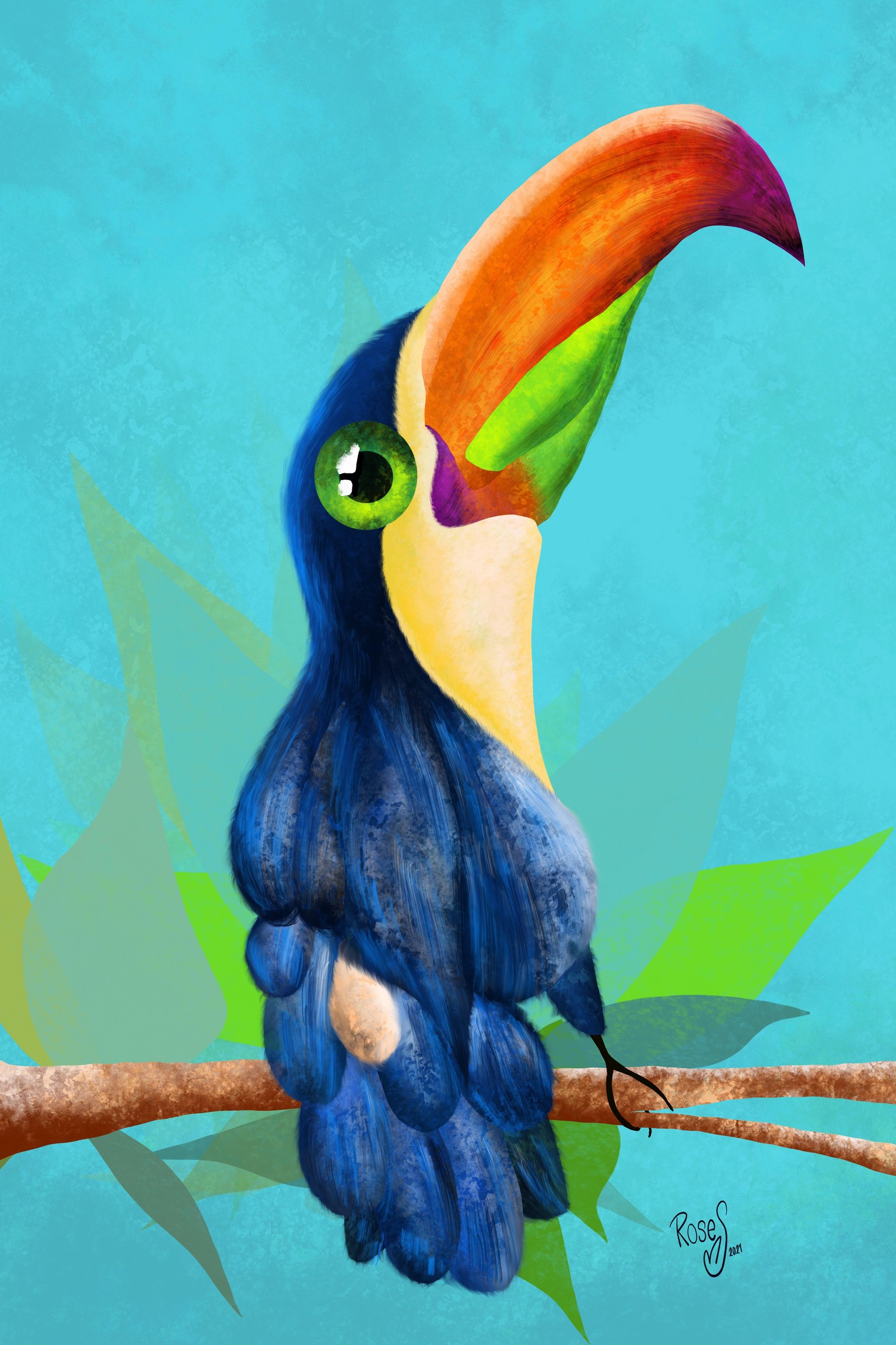 Toucan - image 1 - student project