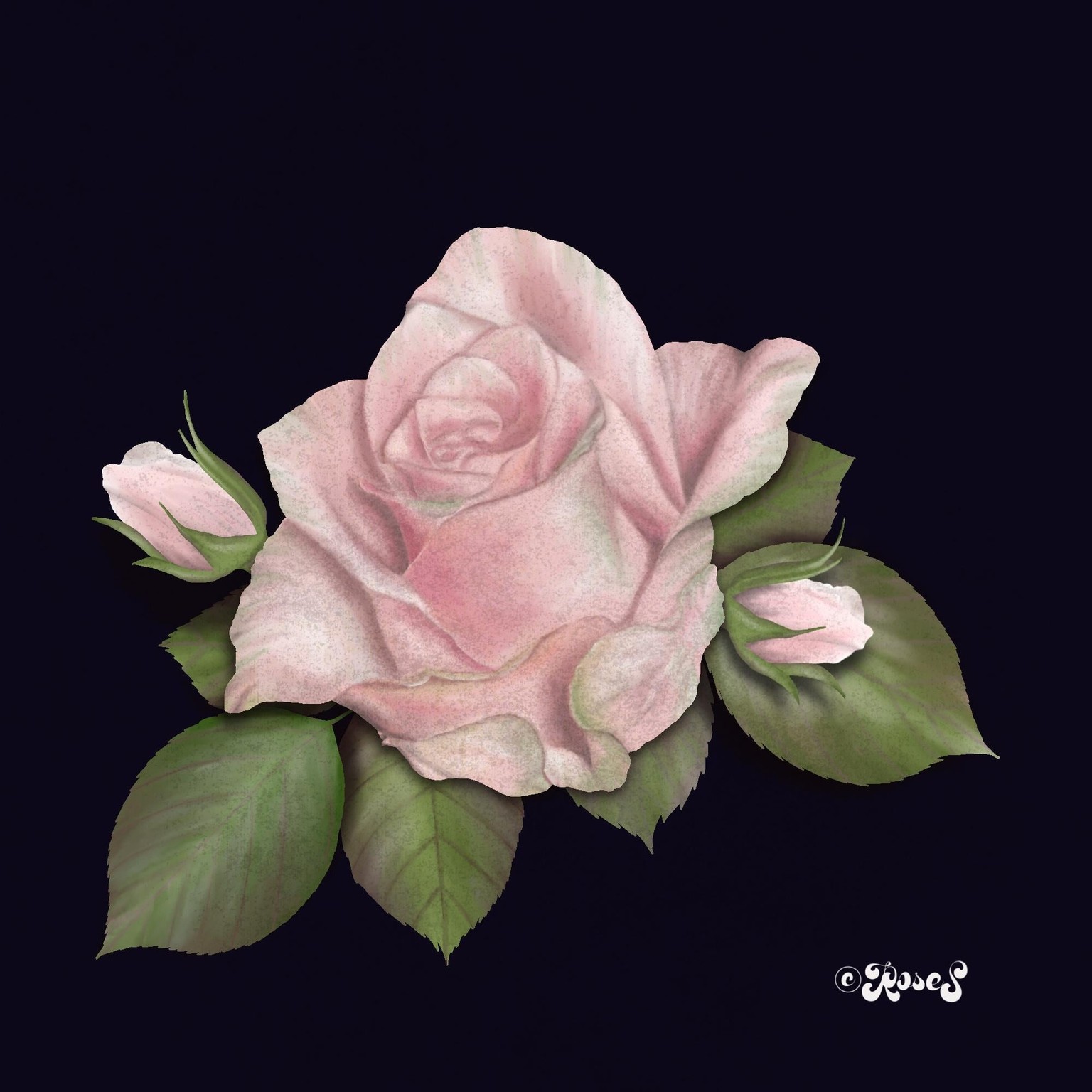 Botanical Illustrations in Procreate - image 2 - student project