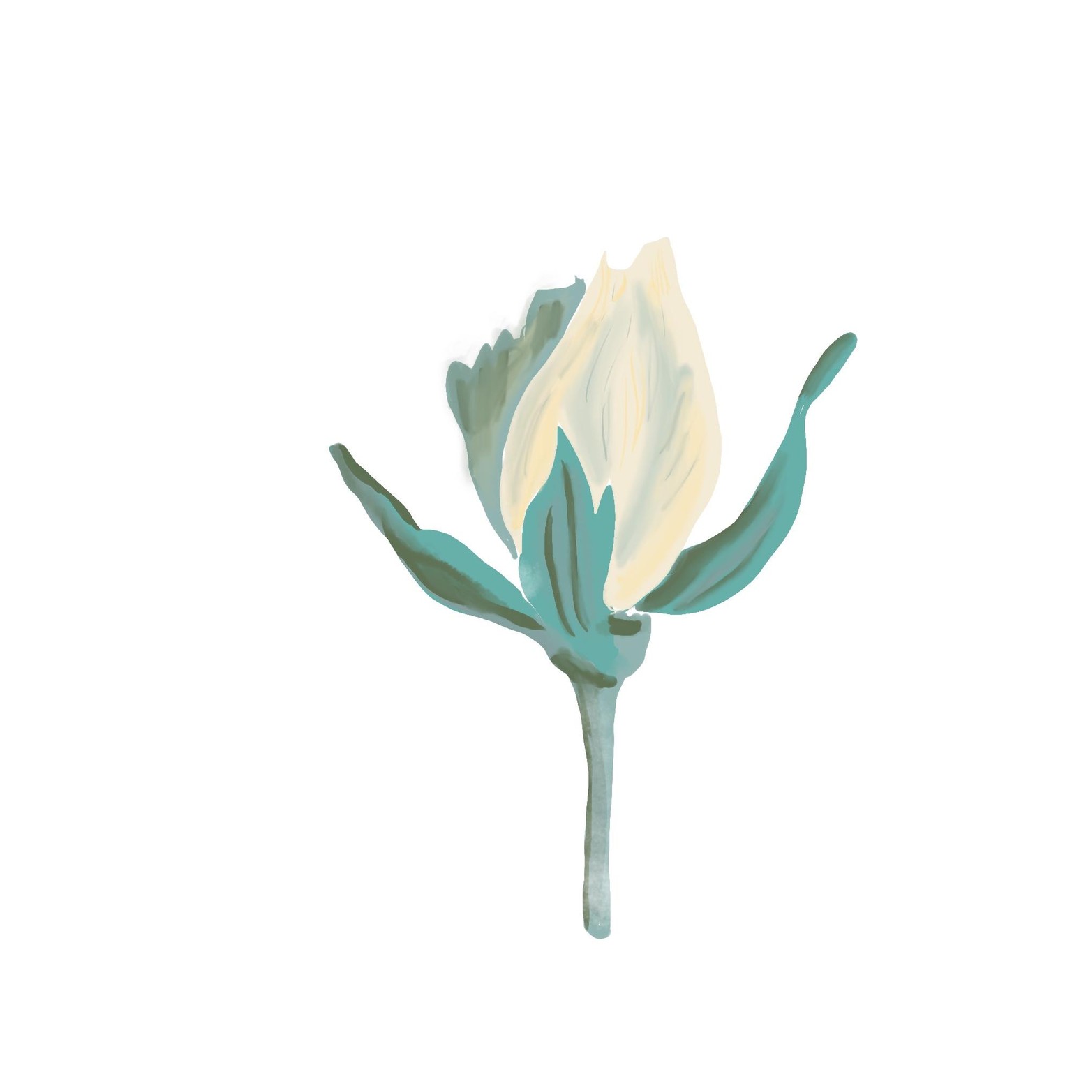 Yellow flower, bud, leaf, and kinda-cherry - image 2 - student project