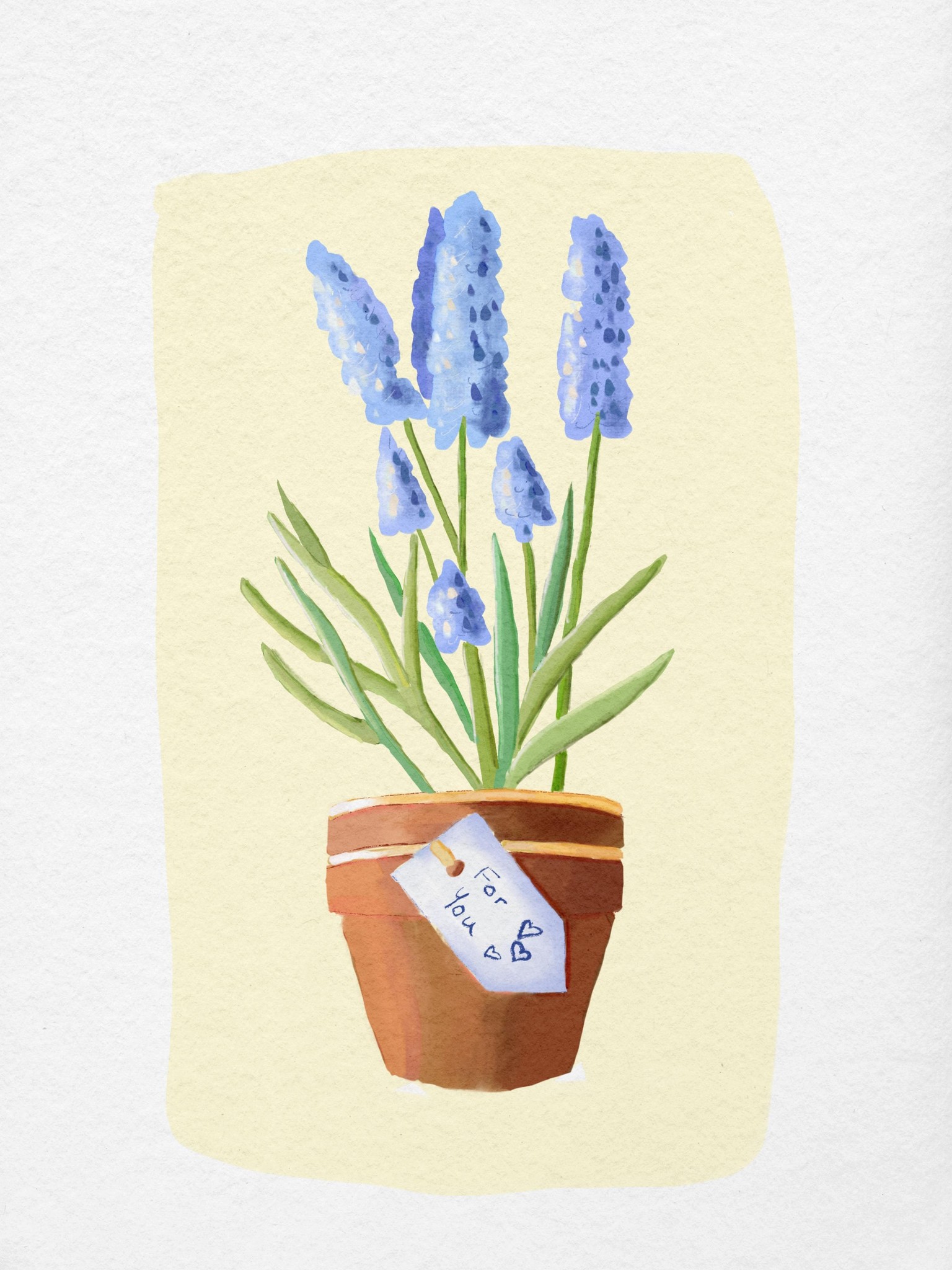 Four potted plants - image 4 - student project
