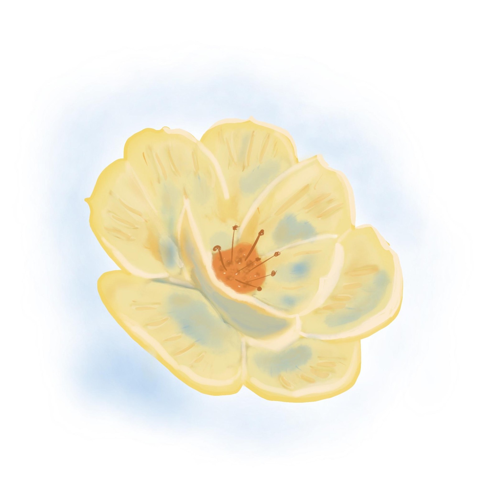 Yellow flower, bud, leaf, and kinda-cherry - image 1 - student project